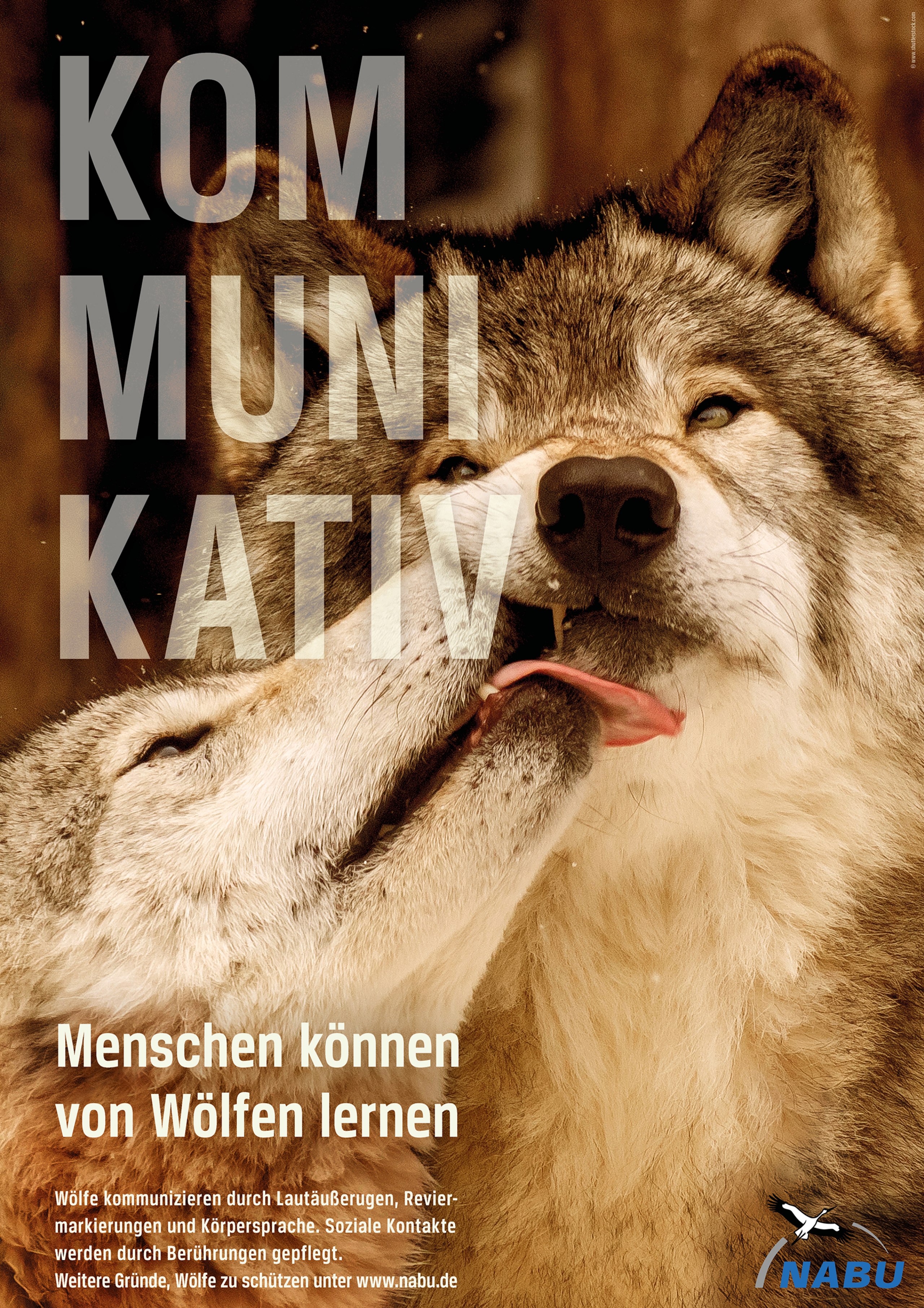 Eine Werbekampagne für den Wolf