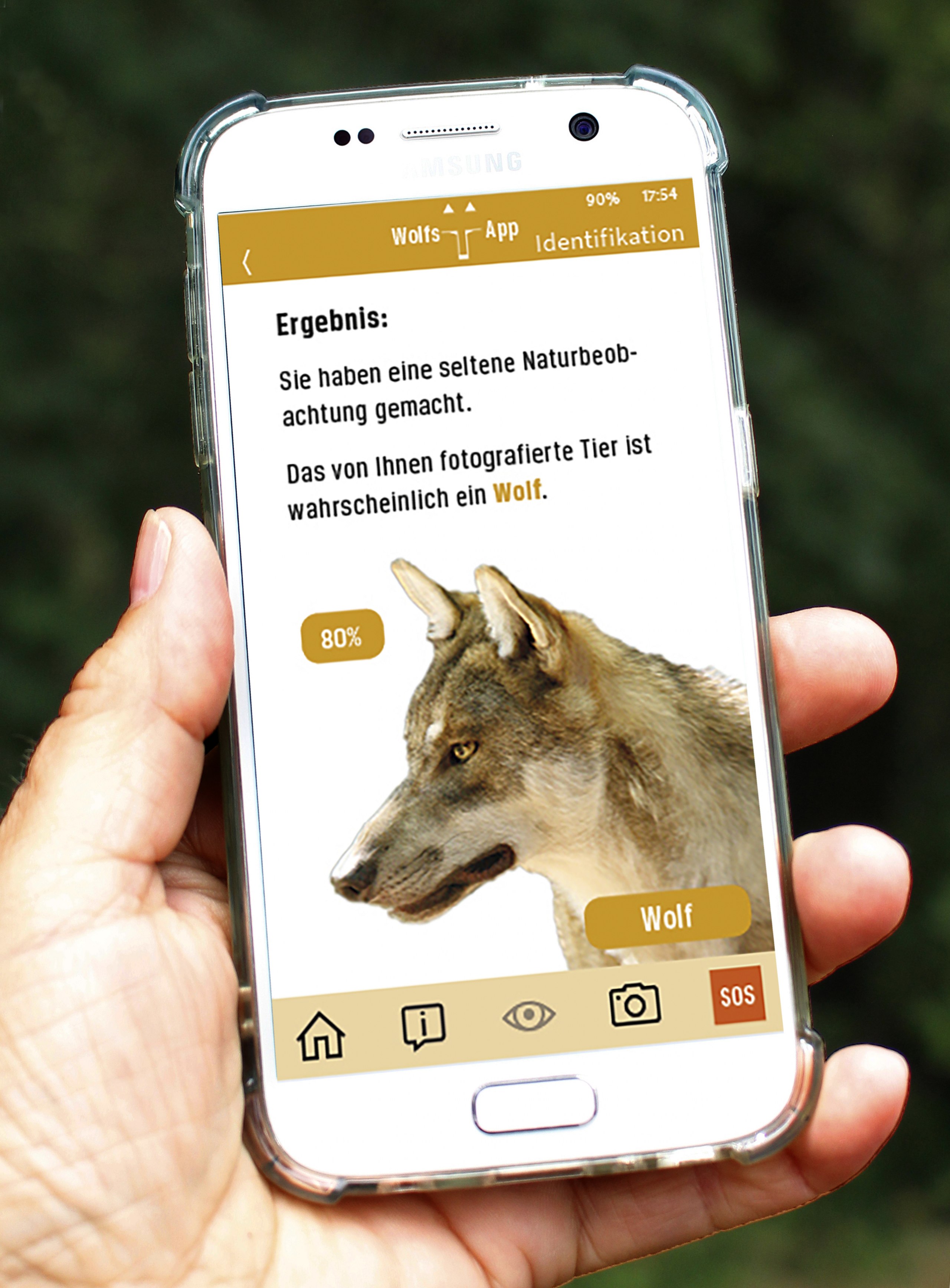Eine Werbekampagne für den Wolf