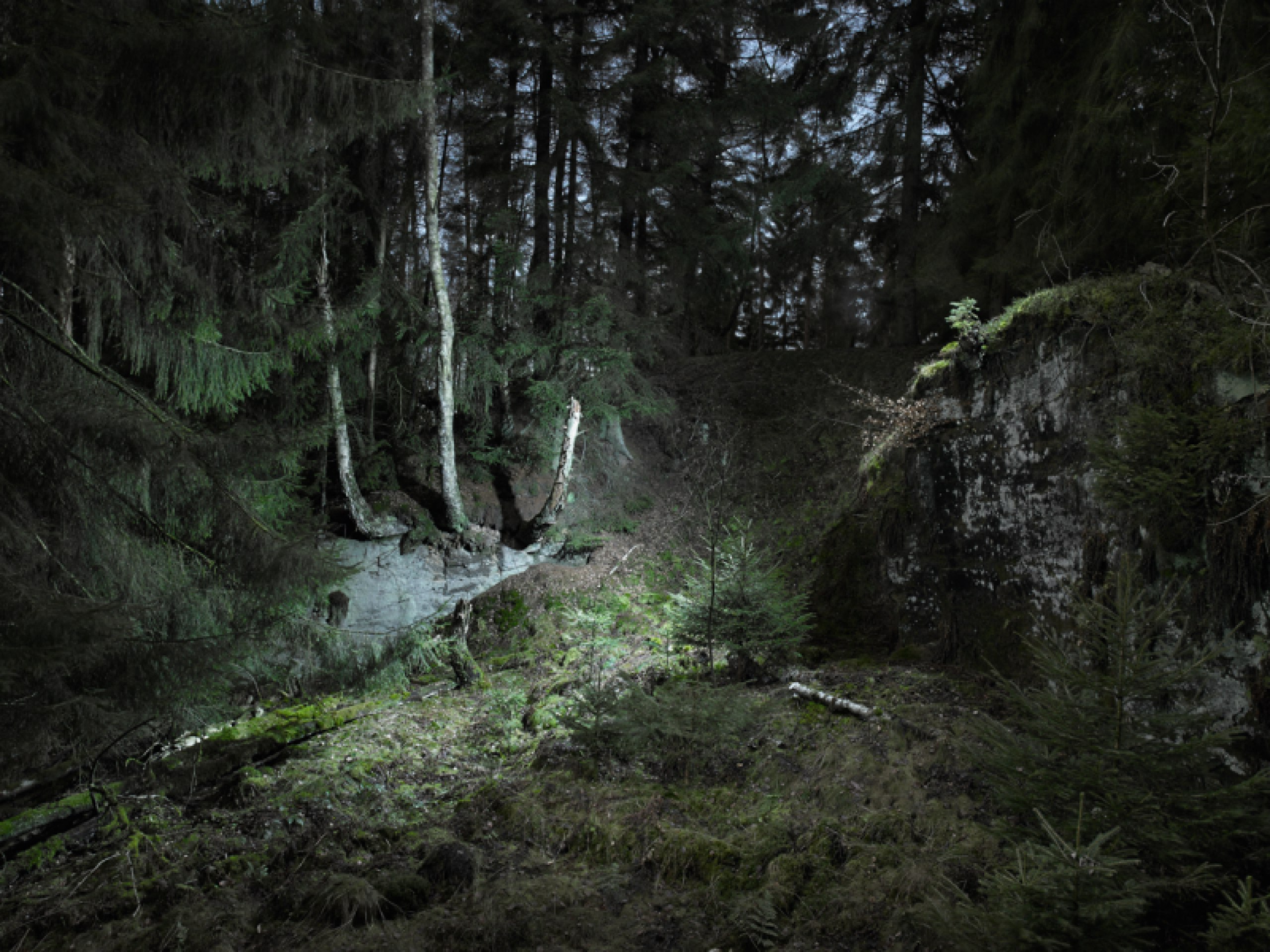 Die unberührte Natur