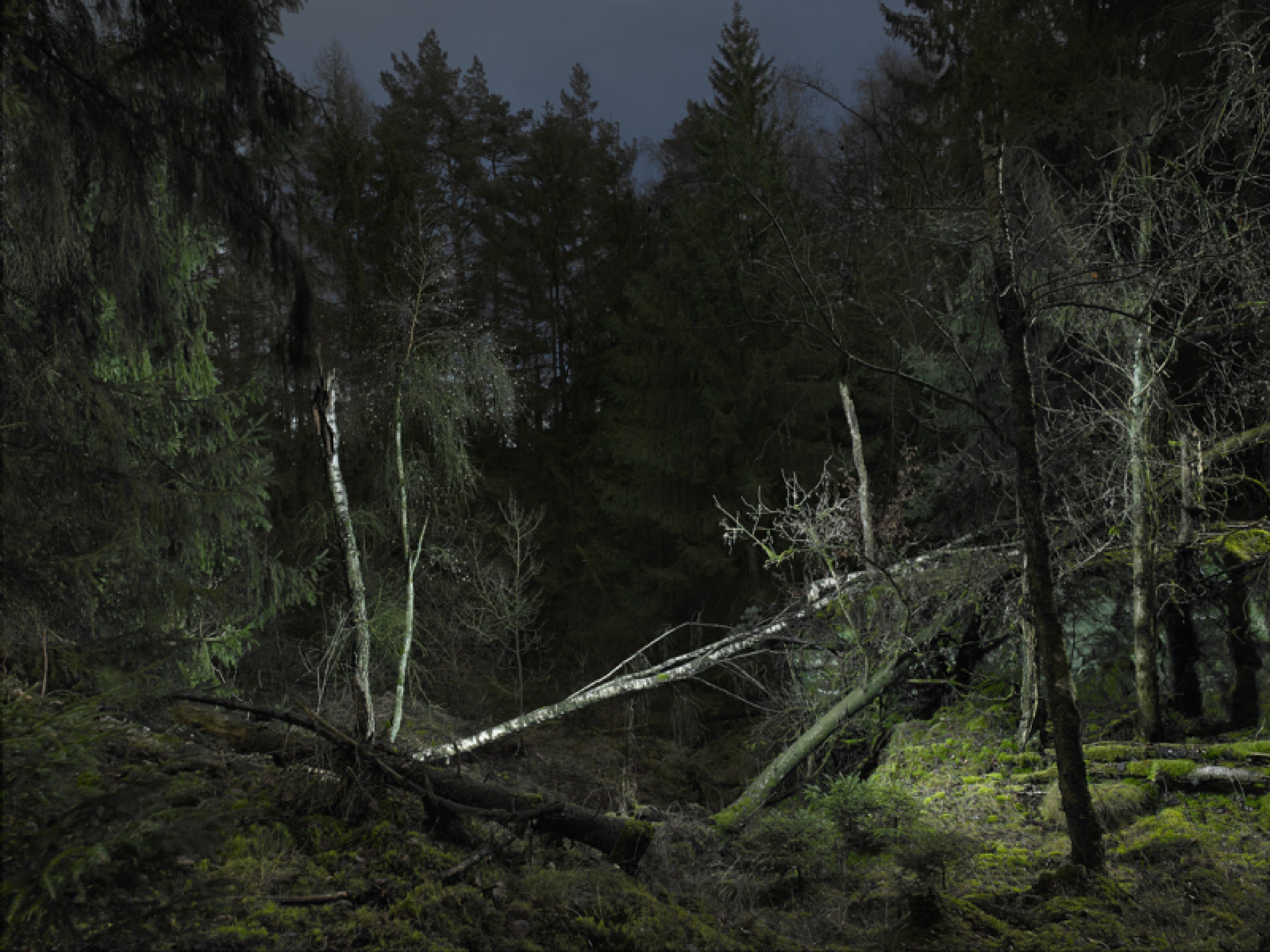 Die unberührte Natur