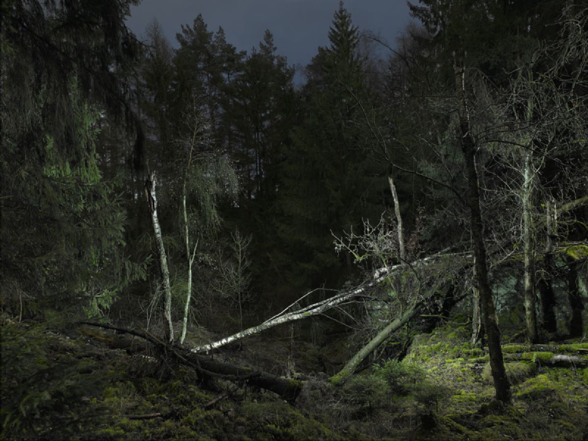 Die unberührte Natur