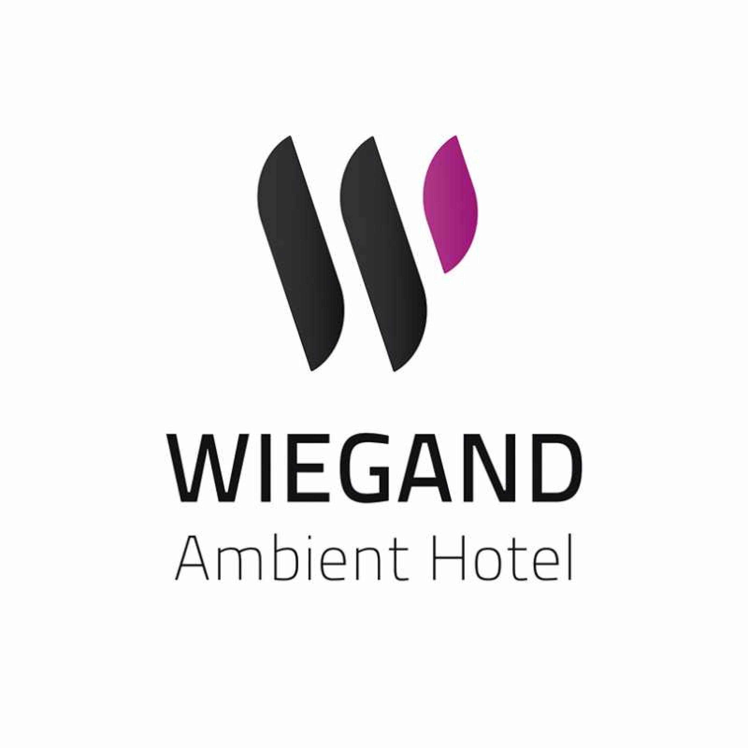 Markenanalyse und kreative Neugestaltung des Corporate Design und Schaffung einer neuen Corporate Identity.
