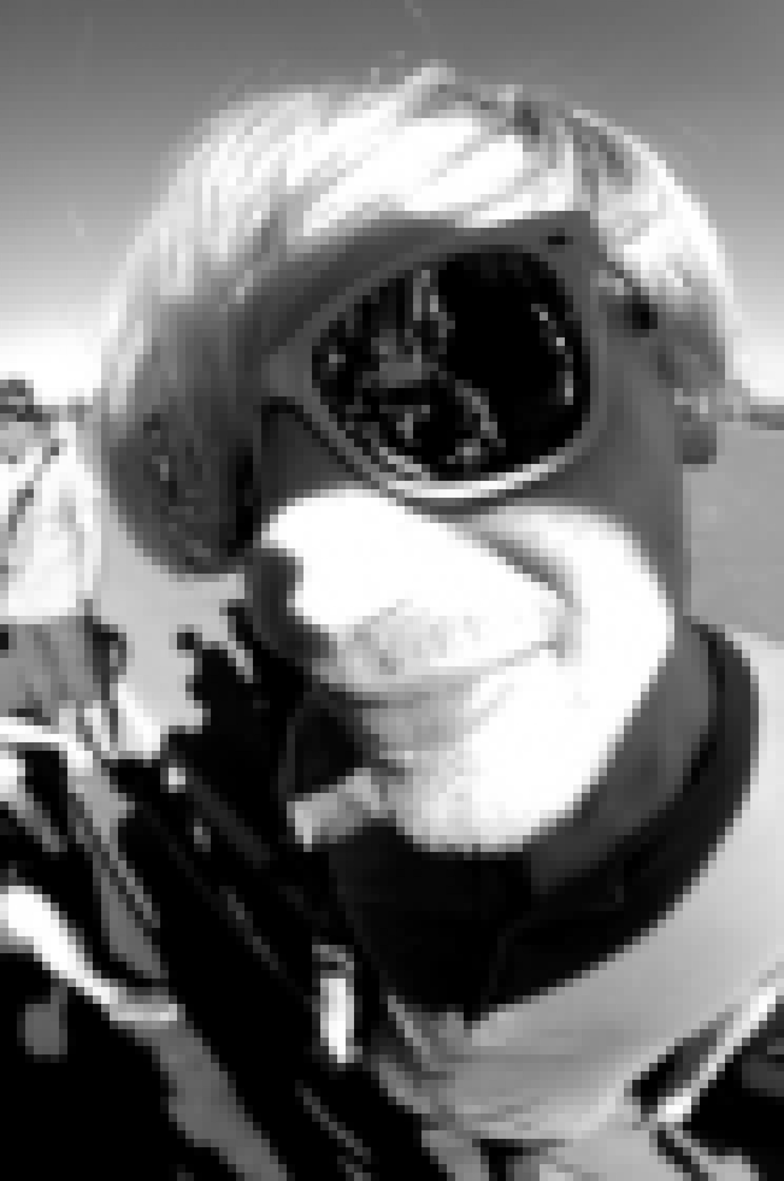 Entwicklung und Gestaltung von Gesellschaftsspielen??