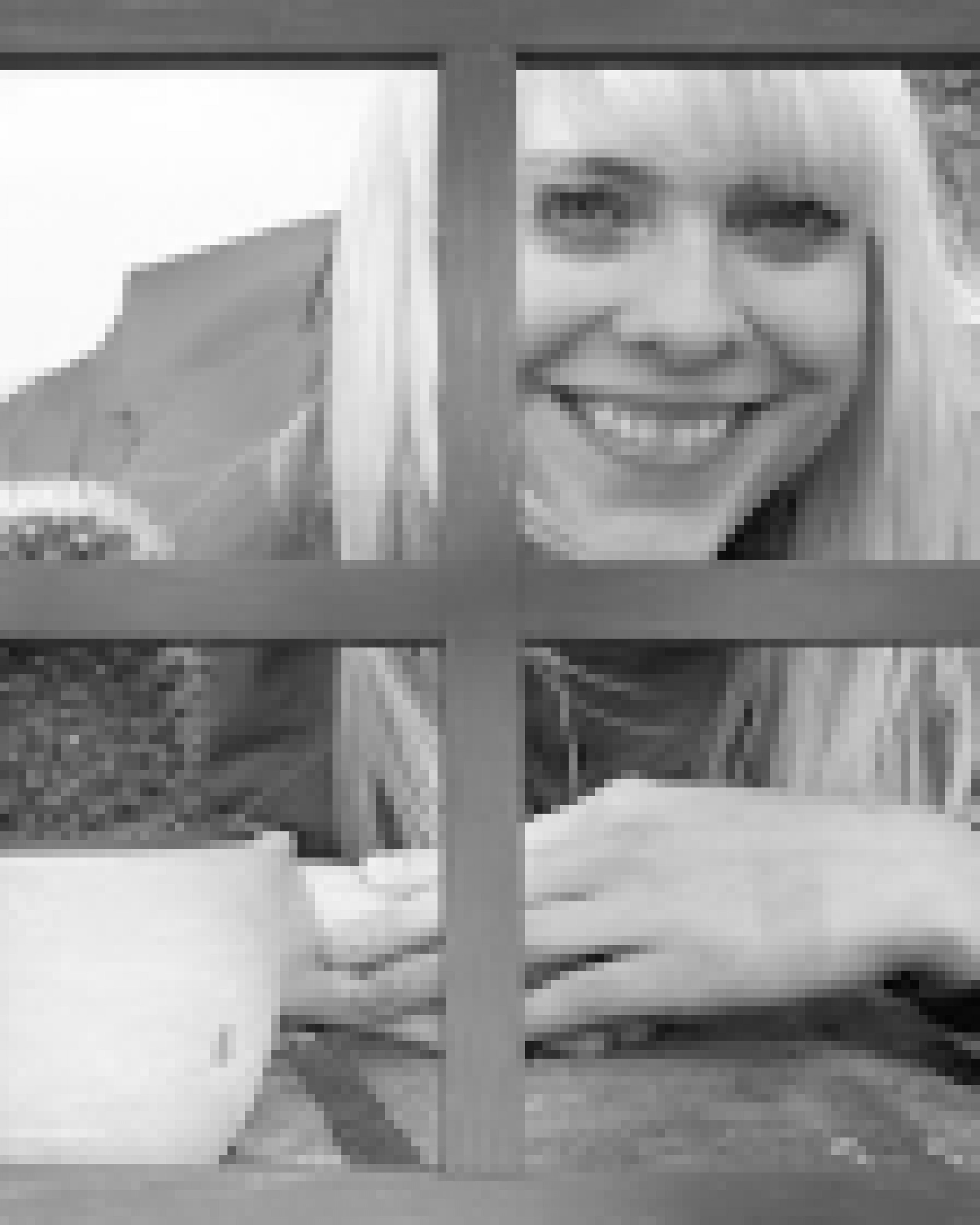 Gestaltung eines Buches durch Illustrationen und Animationen in Form einer App