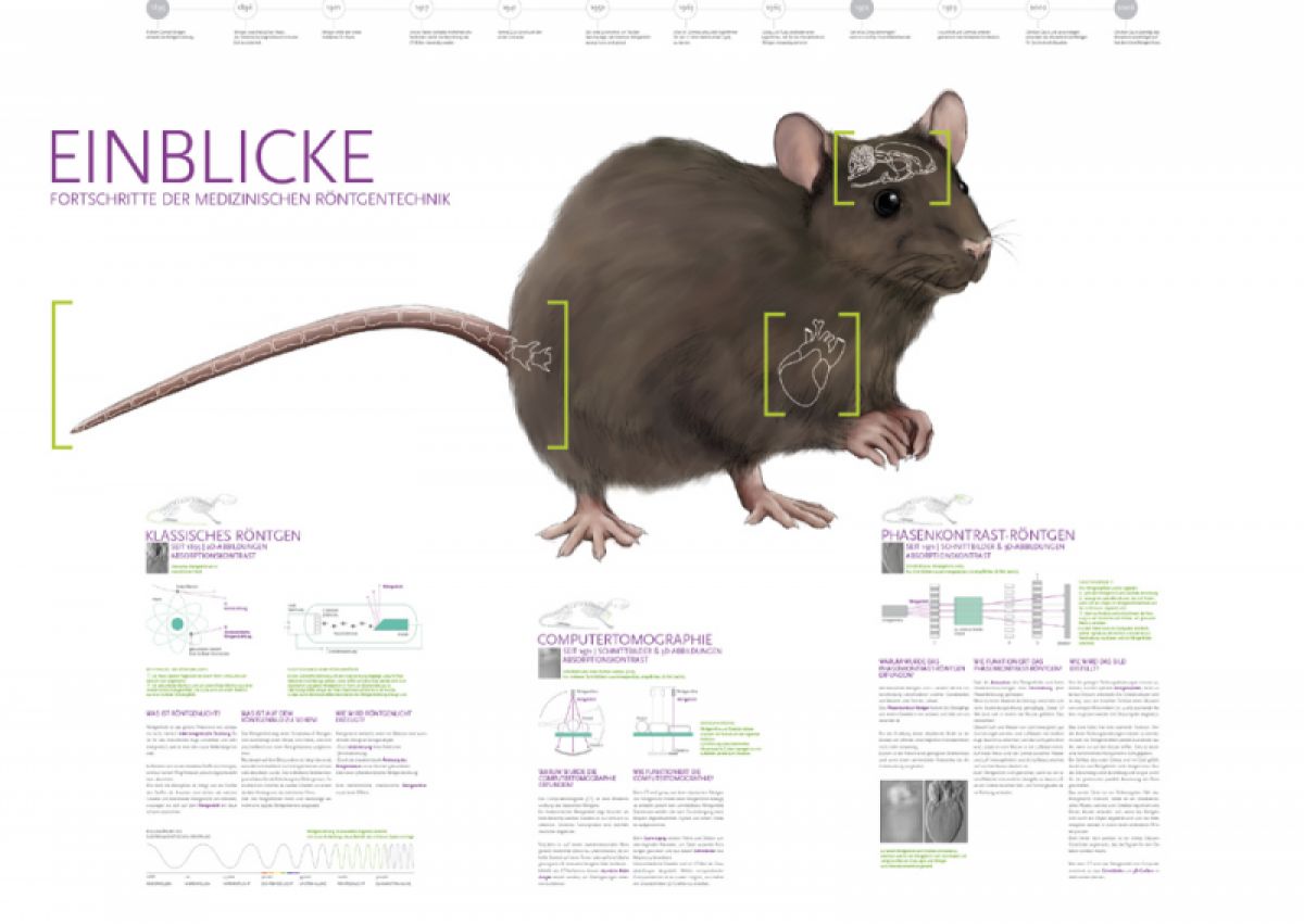 Konzeption und Gestaltung
von Informationsgrafiken mit natur-
wissenschaftlichem Inhalt