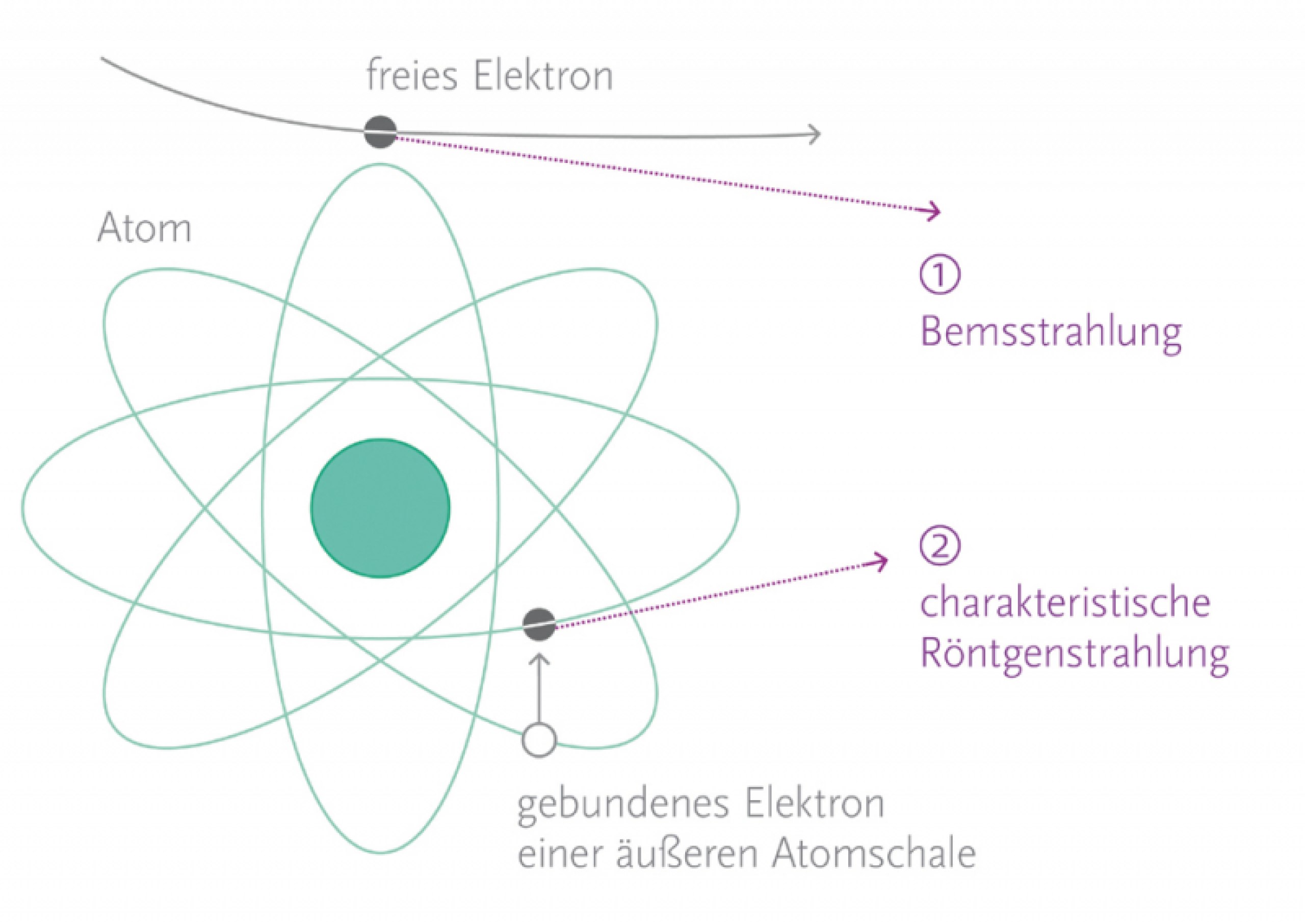 Konzeption und Gestaltung 
von Informationsgrafiken mit natur-­
wissenschaftlichem Inhalt