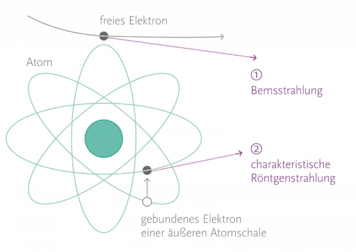 Konzeption und Gestaltung
von Informationsgrafiken mit natur-
wissenschaftlichem Inhalt