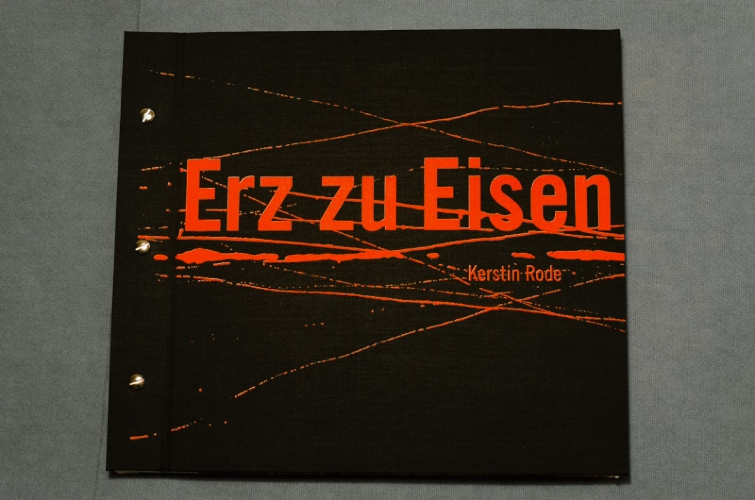 Das ist Kunst – Das kann nicht weg! 
Steigende Wertschätzung des Buches in Zeiten der zunehmenden Digitalisierung des Buchmarktes ?