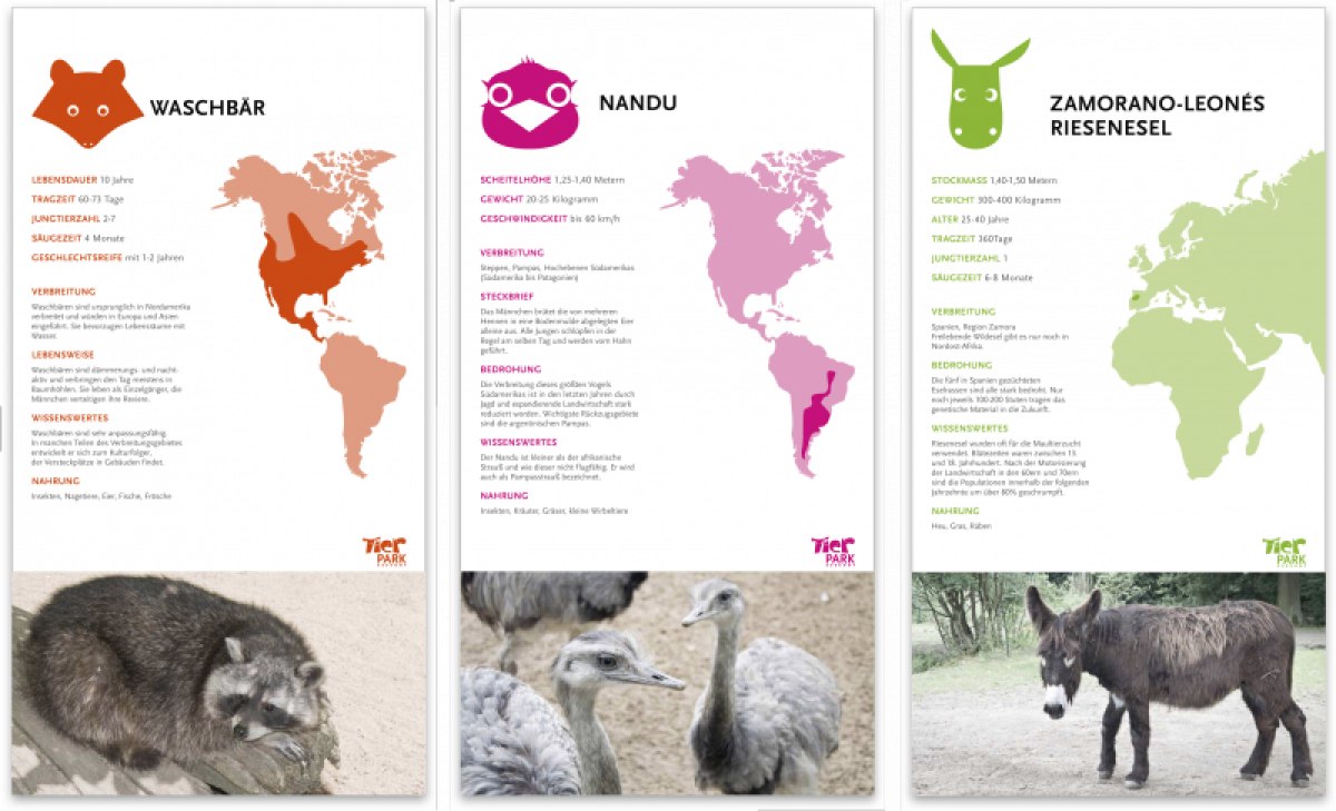 Ausarbeitung eines neuen Corporate Designs