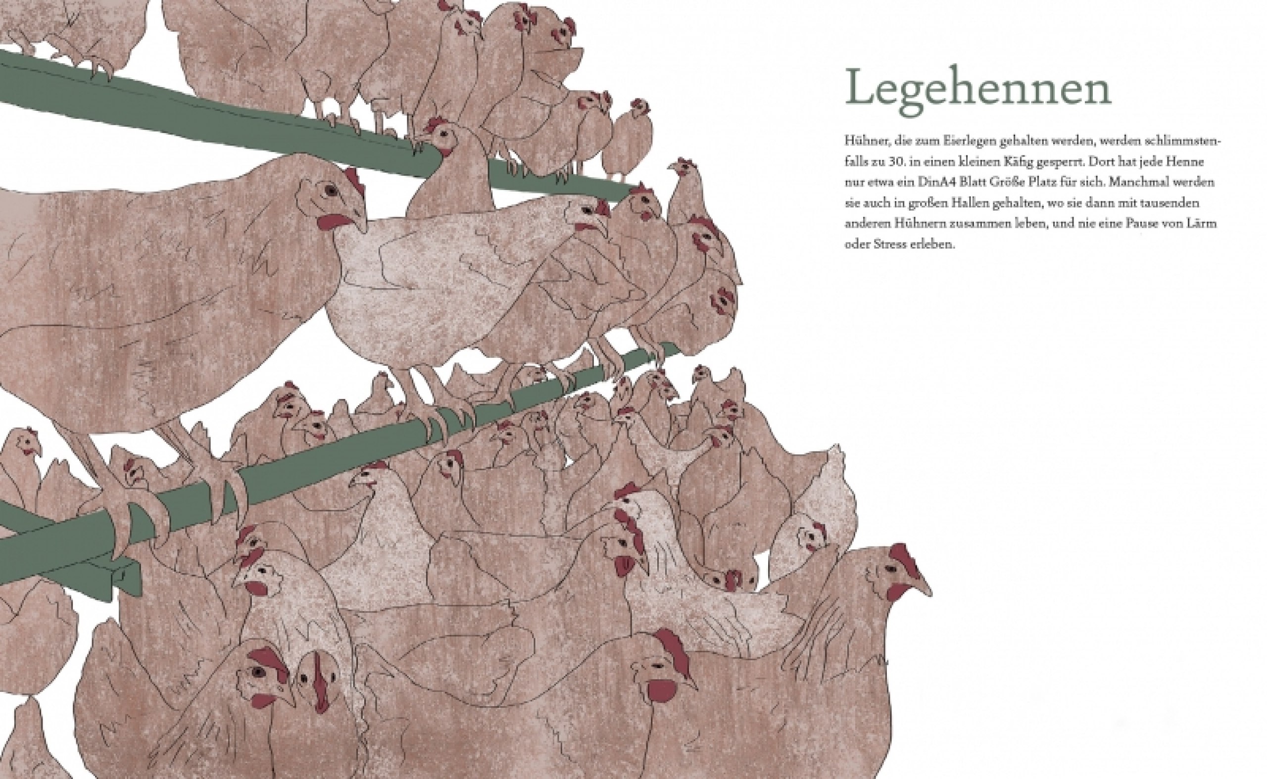Gestaltung eines Kinderbuches zum Thema Fleischkonsum