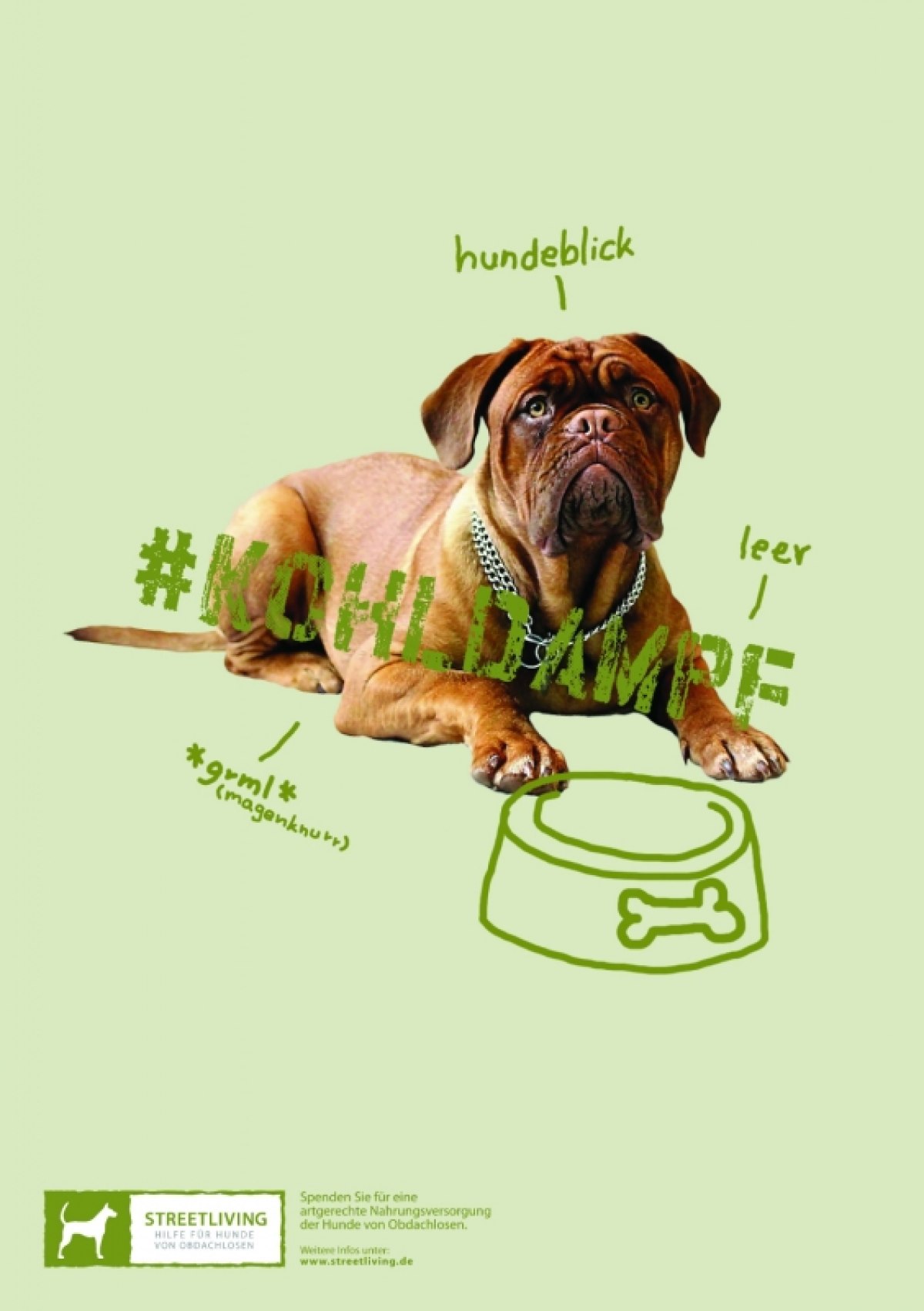 Hilfe für Hunde von Obdachlosen