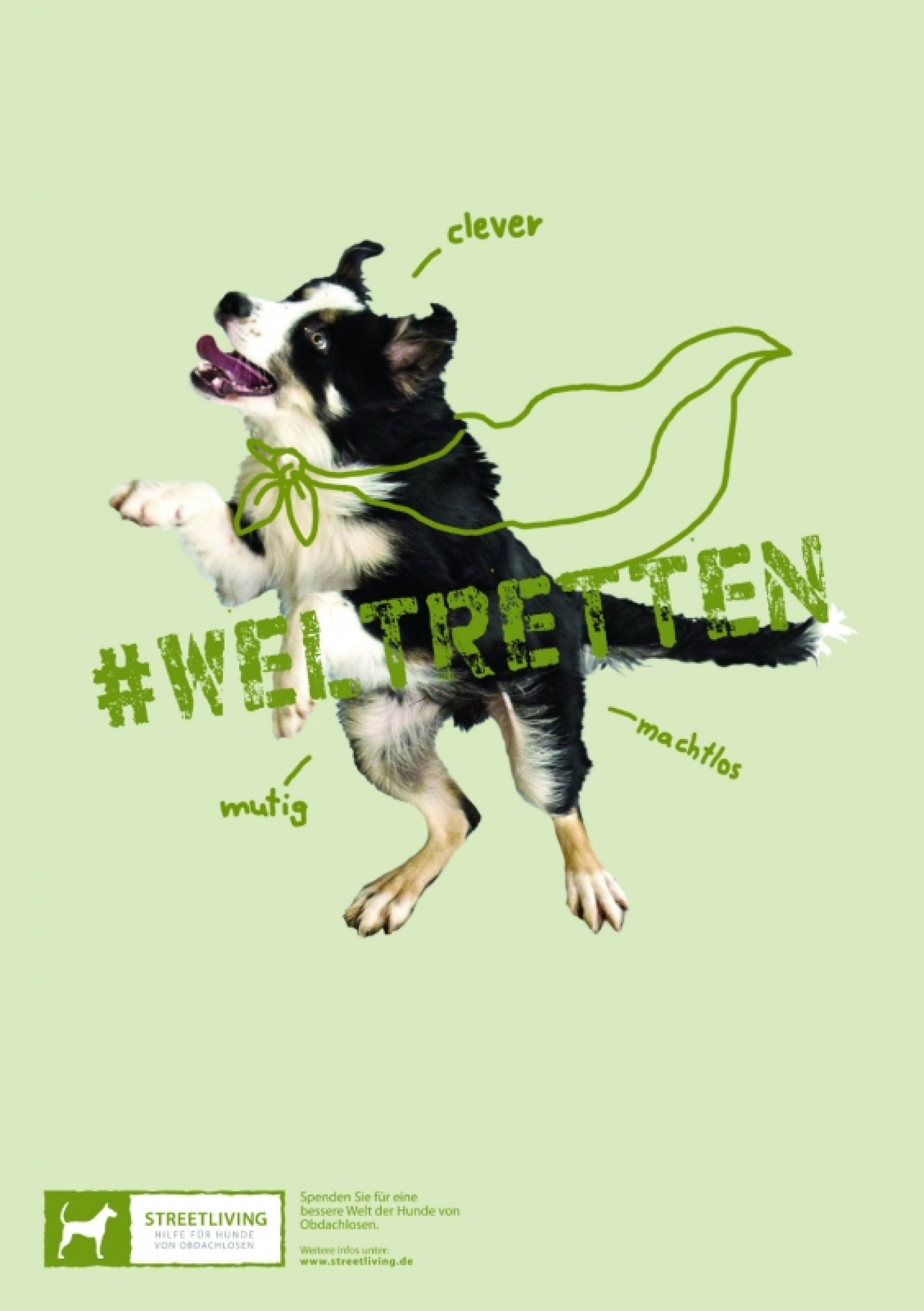 Hilfe für Hunde von Obdachlosen