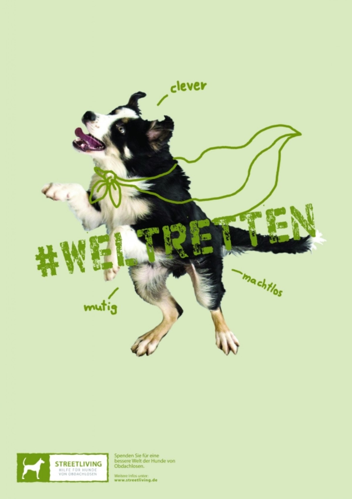 Hilfe für Hunde von Obdachlosen