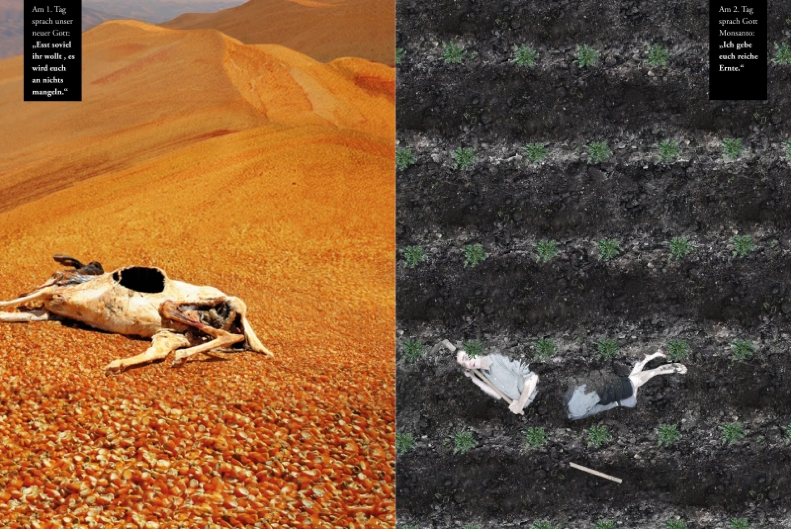 Die Neuerschaffung der Welt nach unserem neuen Gott, Monsanto.