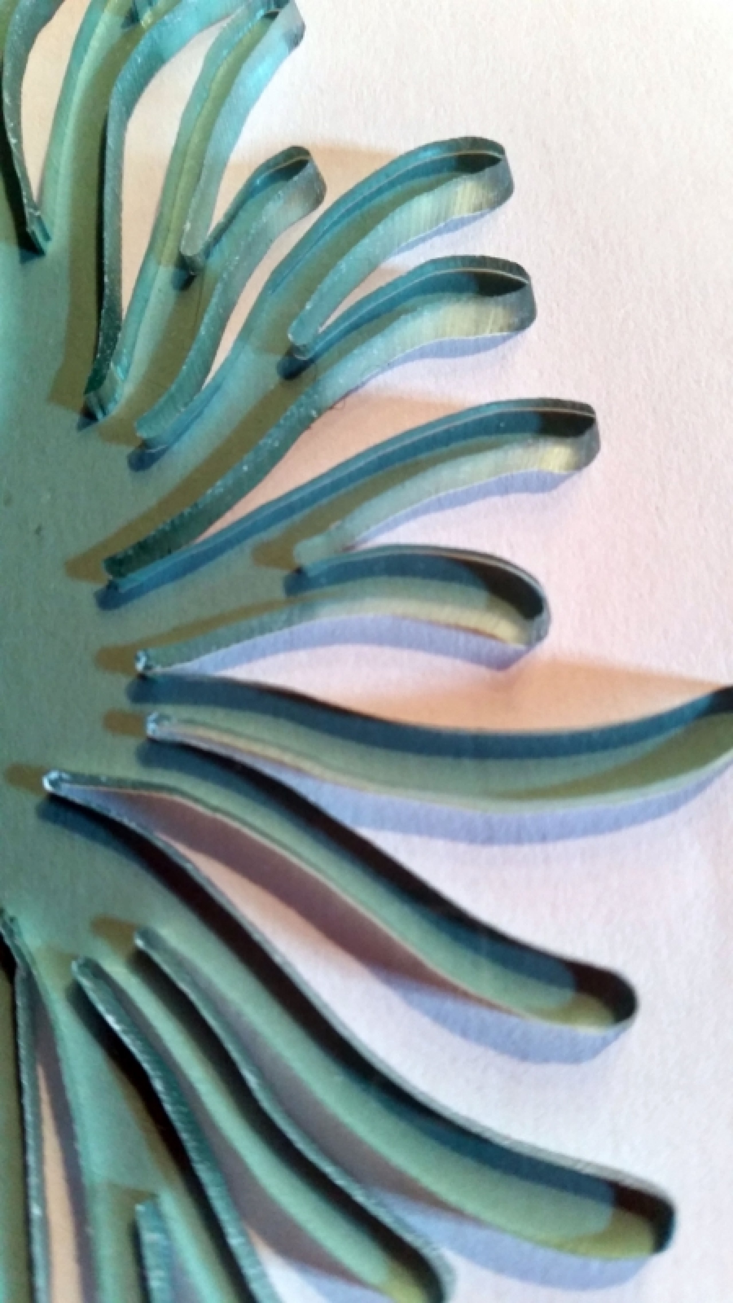 Naturästhetische Lithografien als Inspirationsquelle für Zeitgenössischen Schmuck