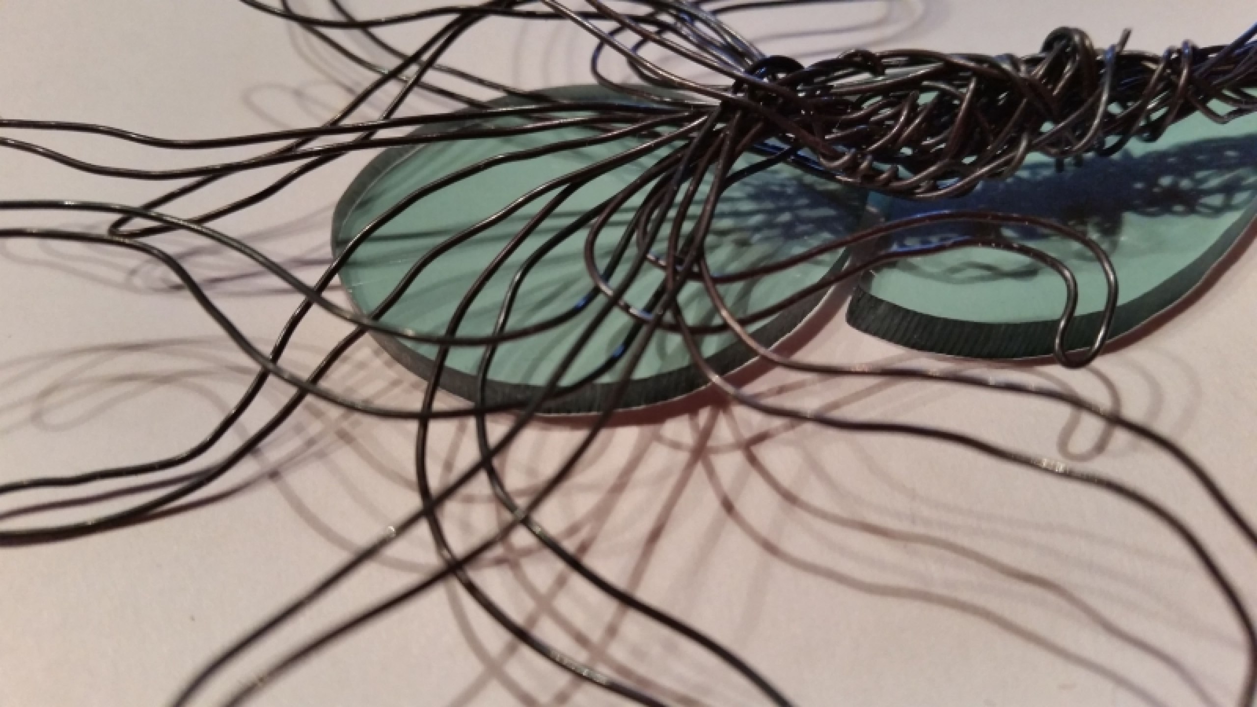 Naturästhetische Lithografien als Inspirationsquelle für Zeitgenössischen Schmuck
