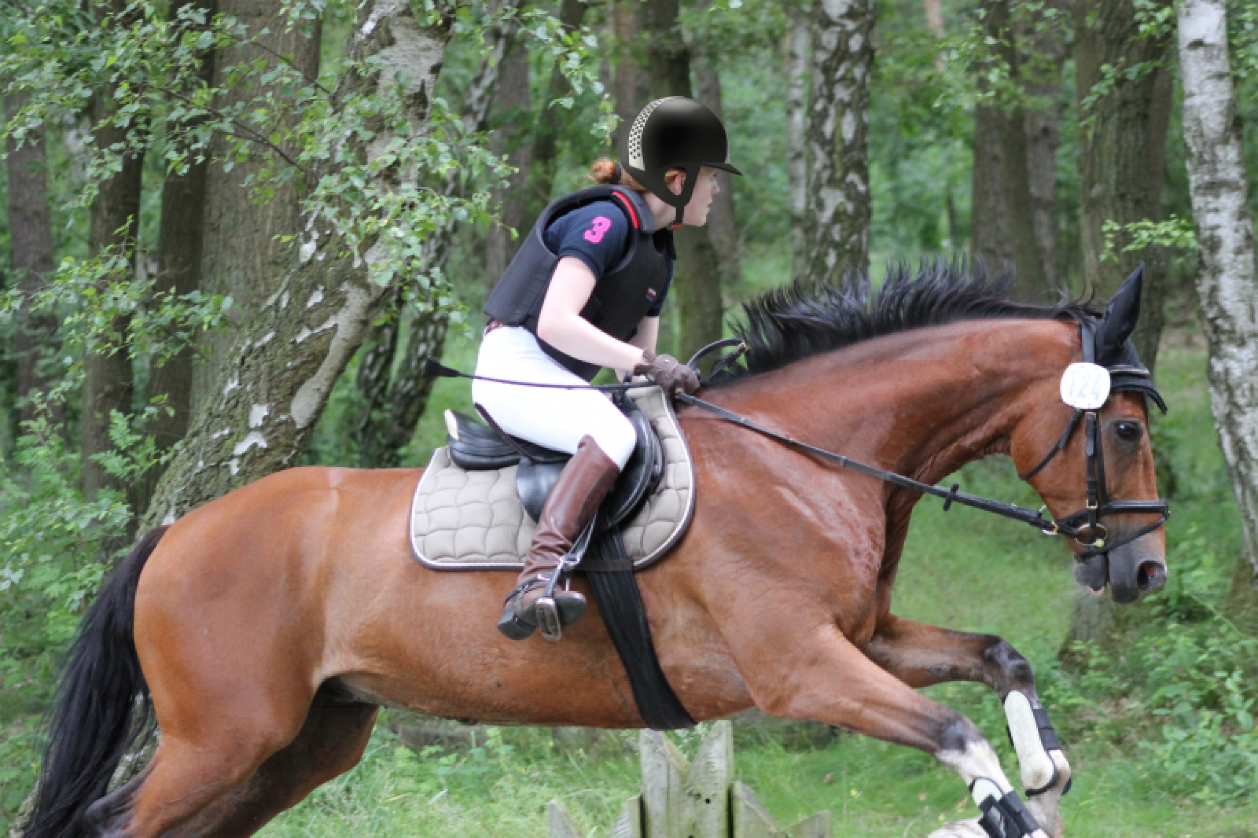 Gestaltung eines Helmes zur Anwendung im Reitsport