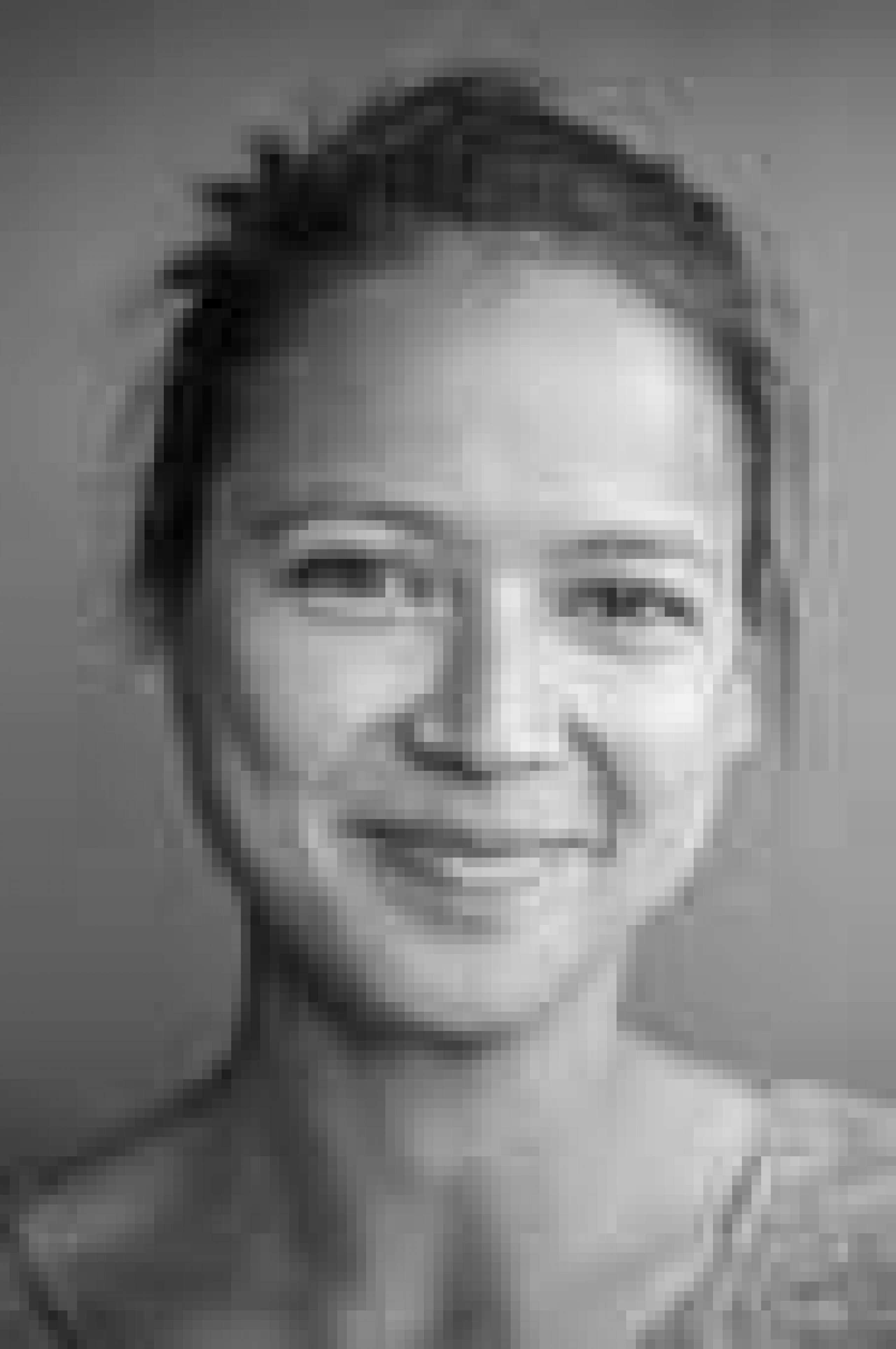 Analyse des Bienensterbens und Entwicklung einer Gegenmaßnahmen-Kampagne