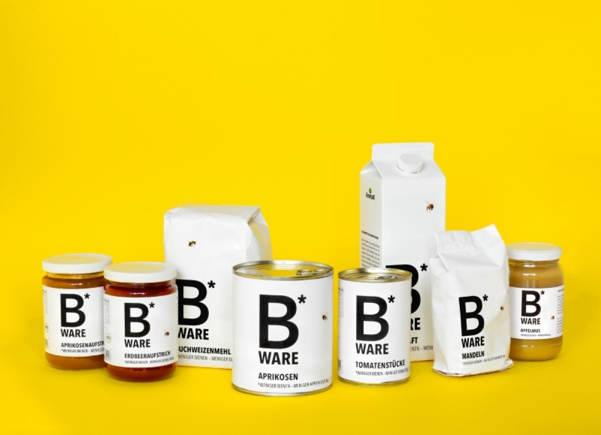 Analyse des Bienensterbens und Entwicklung einer Gegenmaßnahmen-Kampagne