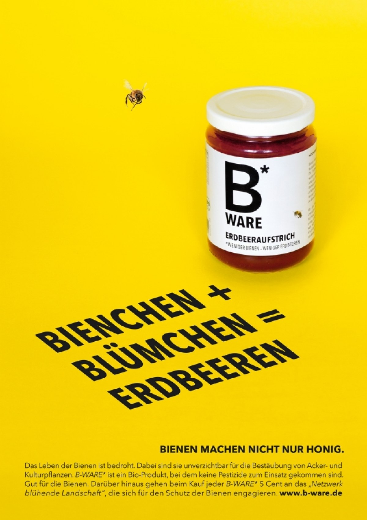 Analyse des Bienensterbens und Entwicklung einer Gegenmaßnahmen-Kampagne