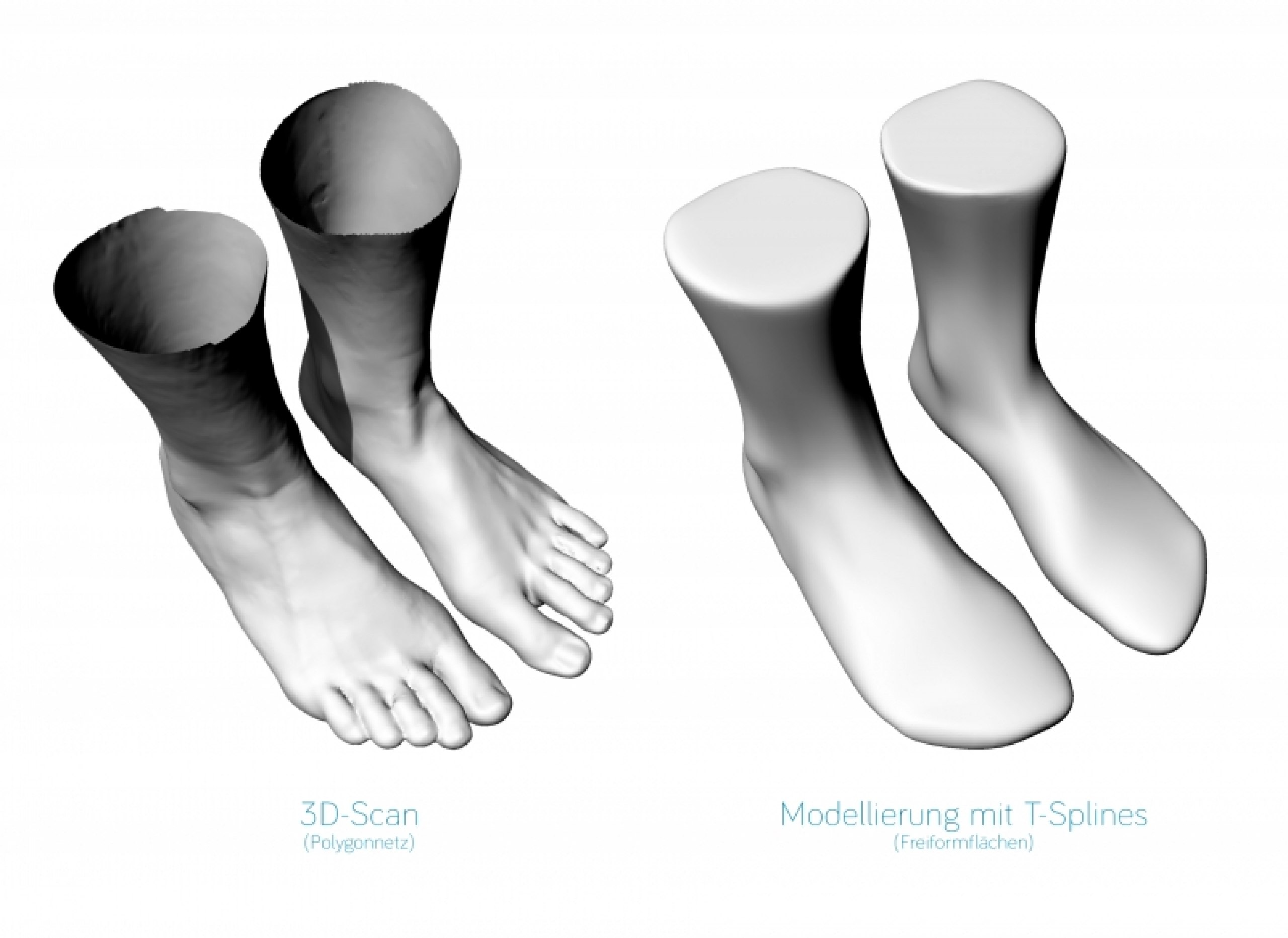 form follows foot