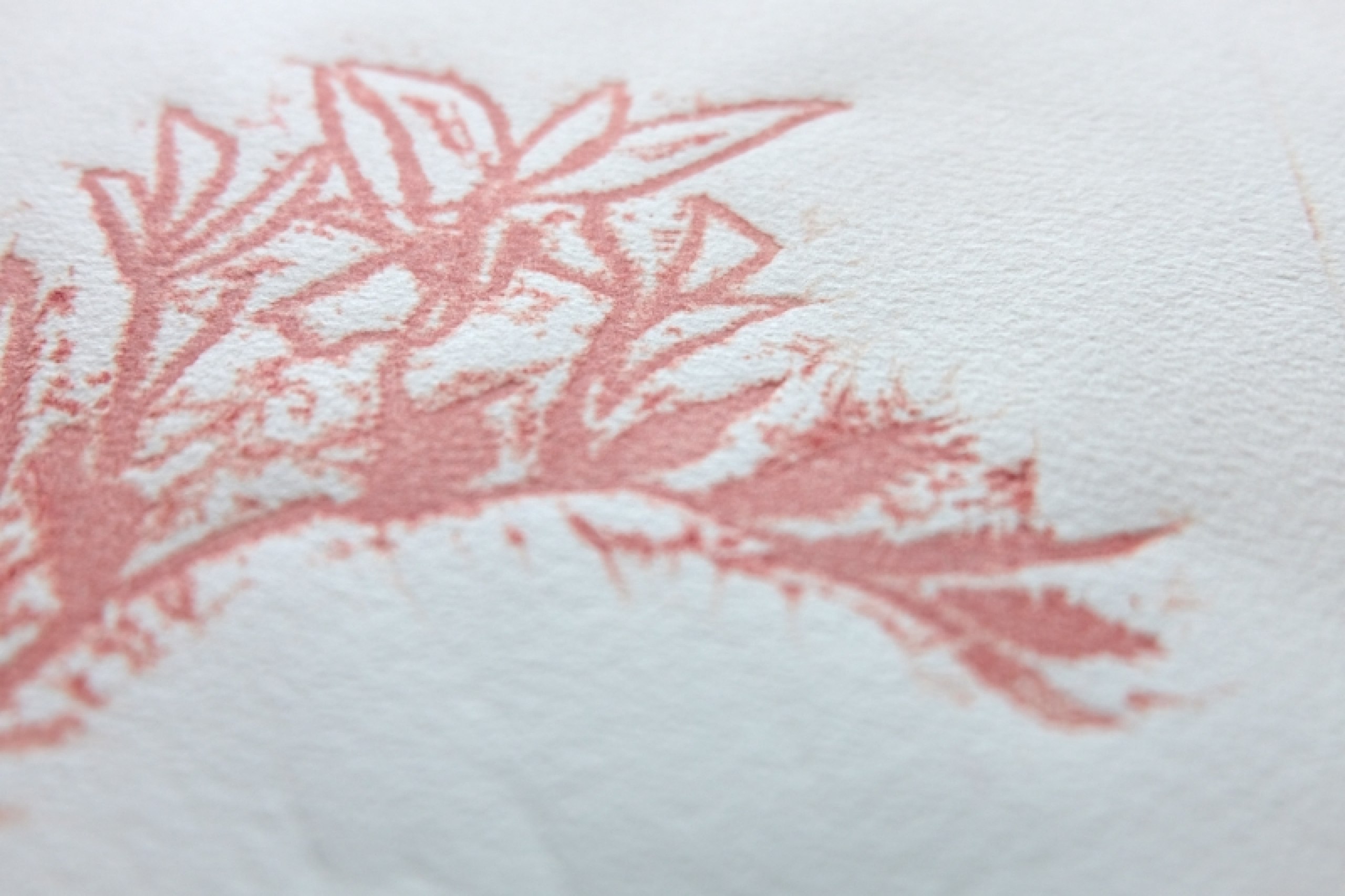 Konzeption, Typografie und Illustration für einen Gedichtband japanischer Todesgedichte