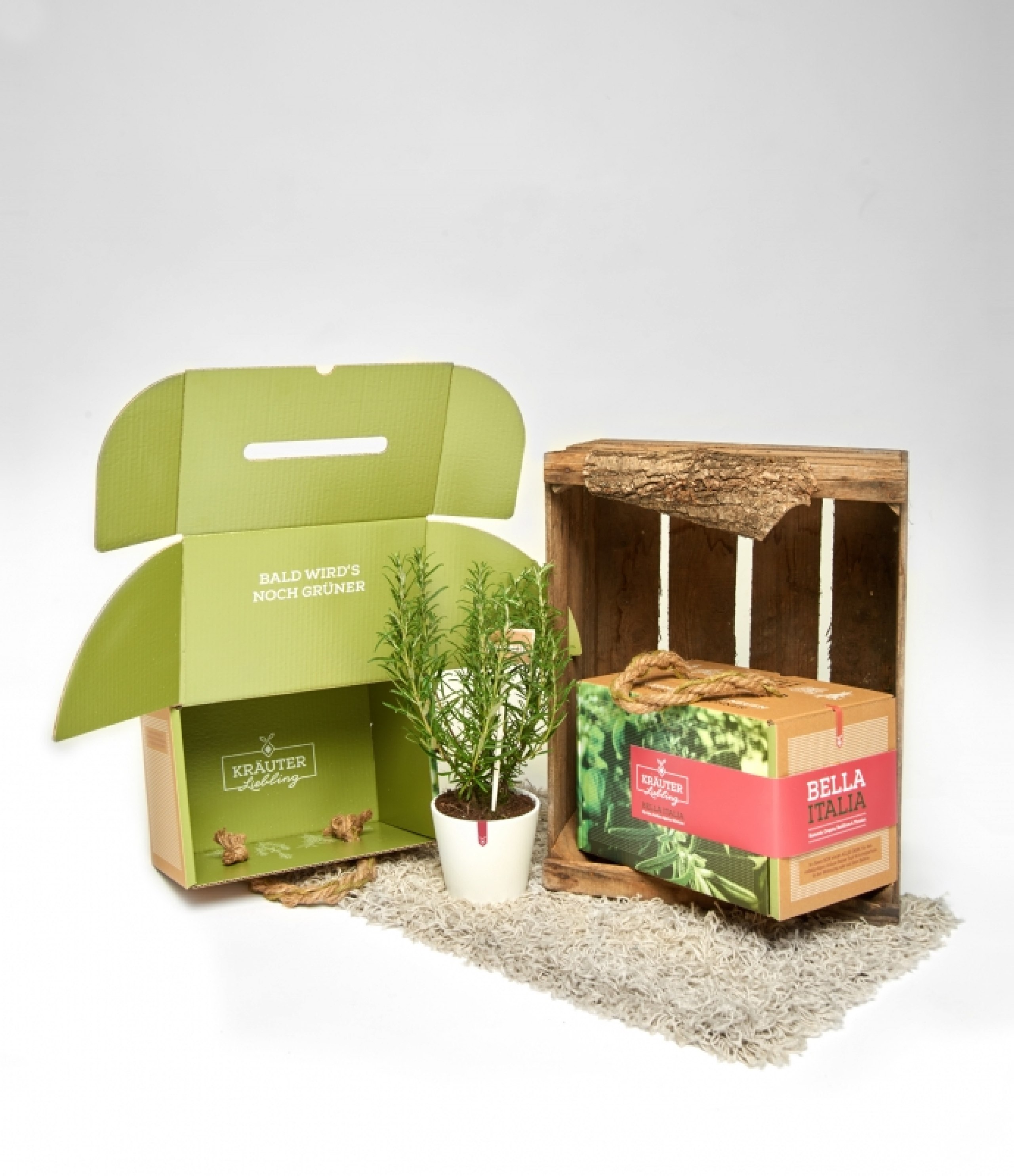 SCHLUSS mit Supermarkt-Kräutern! Pflanze dir einfach einen Kräutergarten in der Wohnung
