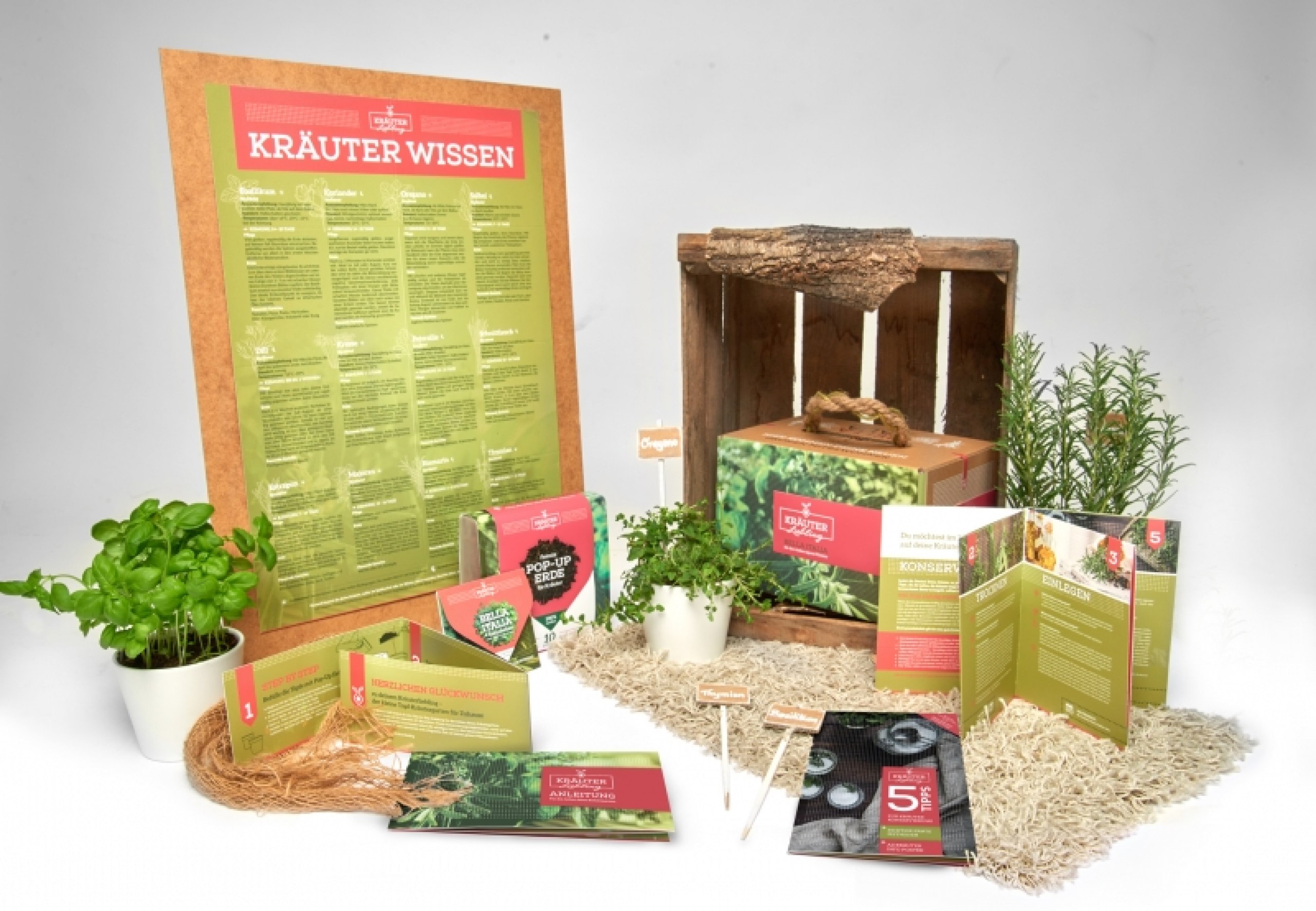 SCHLUSS mit Supermarkt-Kräutern! Pflanze dir einfach einen Kräutergarten in der Wohnung