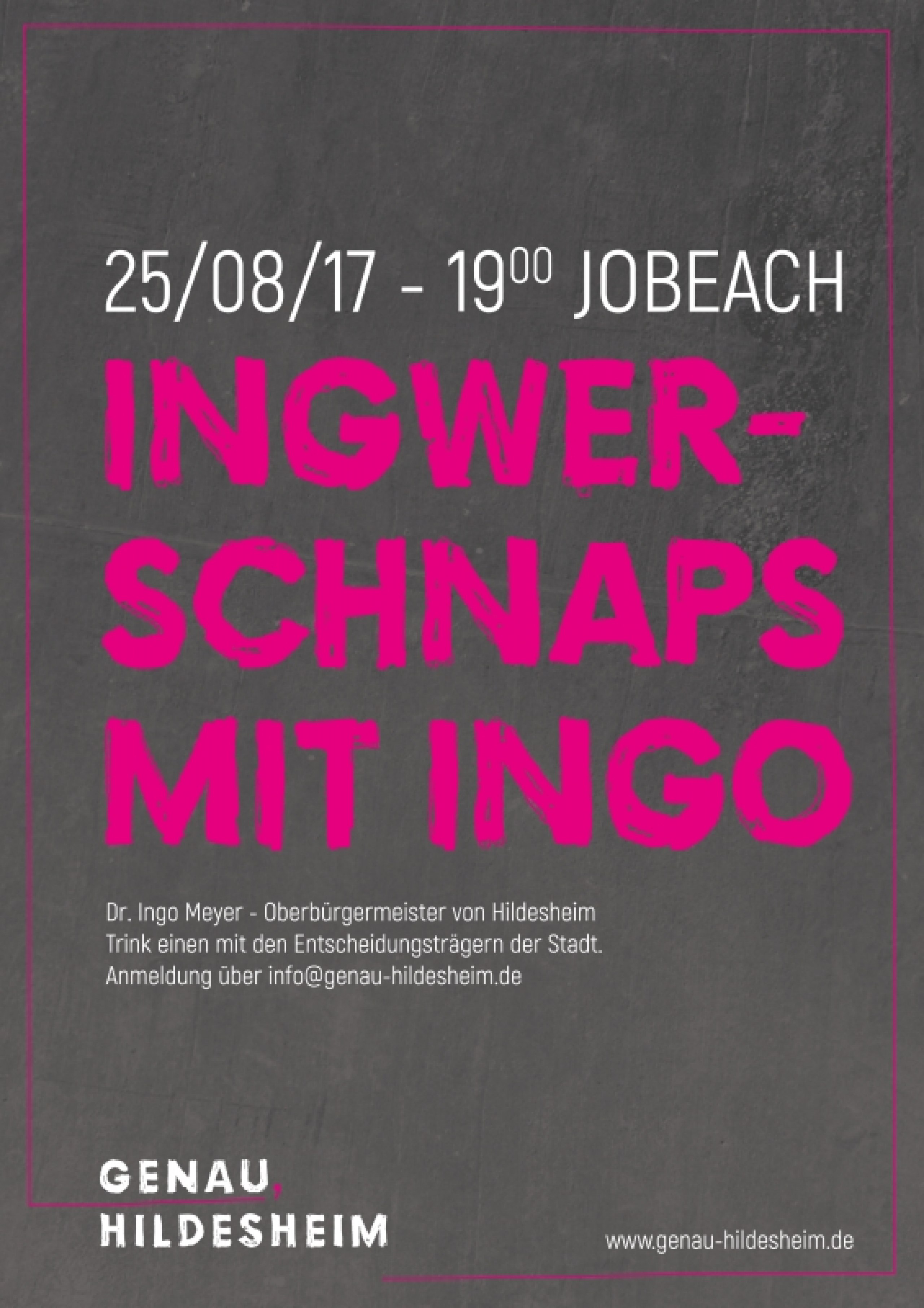 Hildesheim und die Generation Y: Idee & Gestaltung einer Kommunikationsstrategie