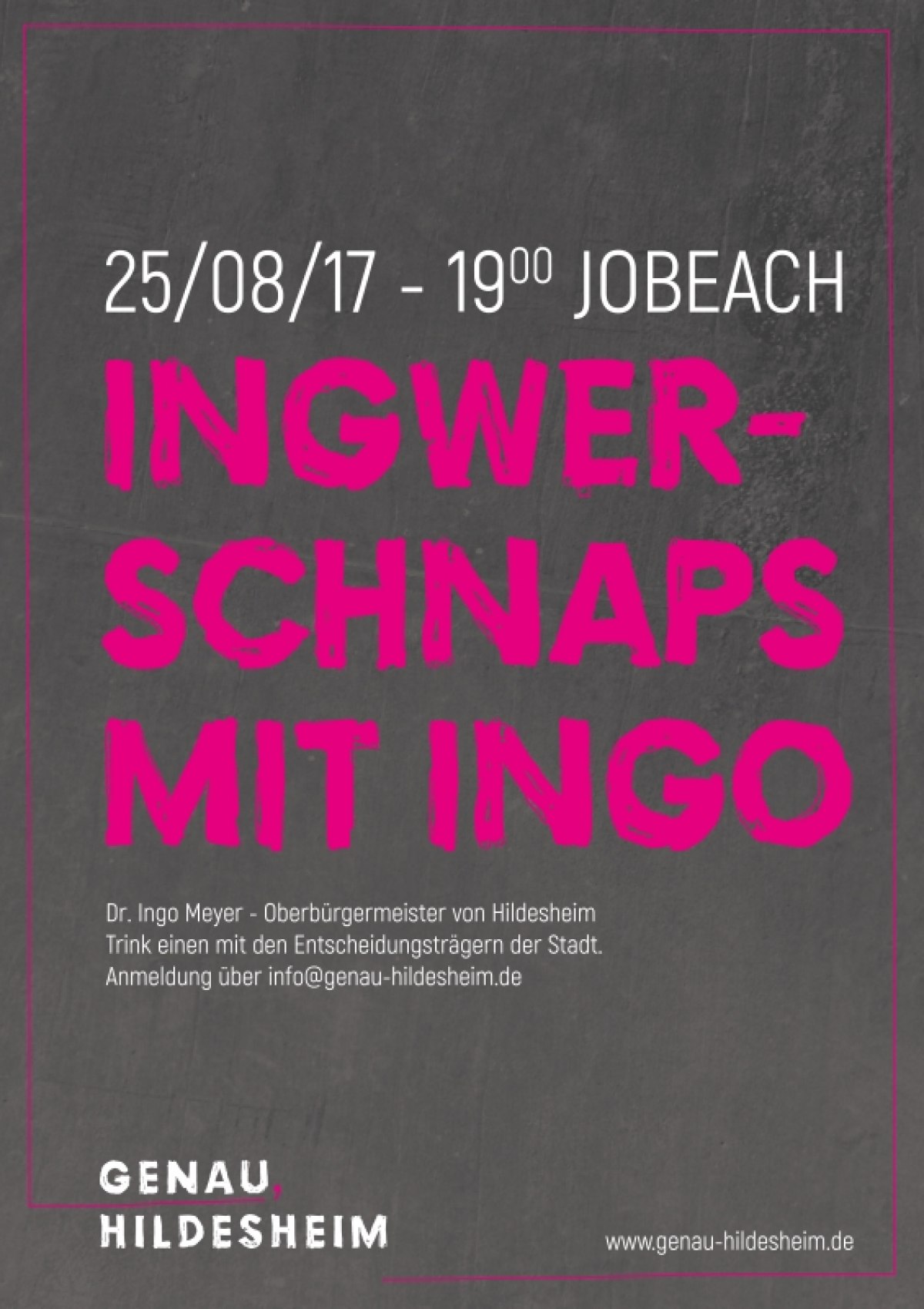 Hildesheim und die Generation Y: Idee & Gestaltung einer Kommunikationsstrategie