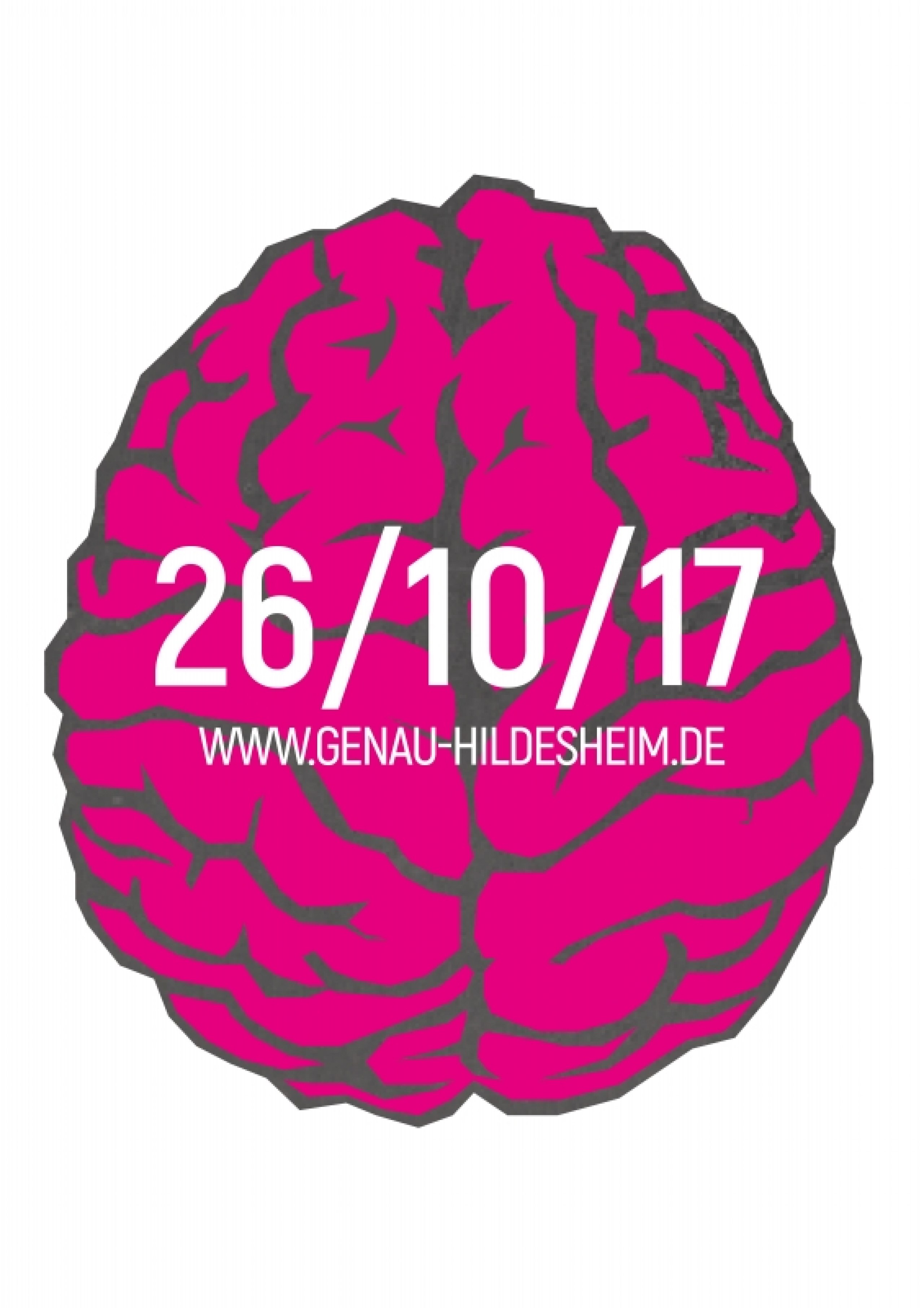 Hildesheim und die Generation Y: Idee und Gestaltung einer Kommunikationsstrategie