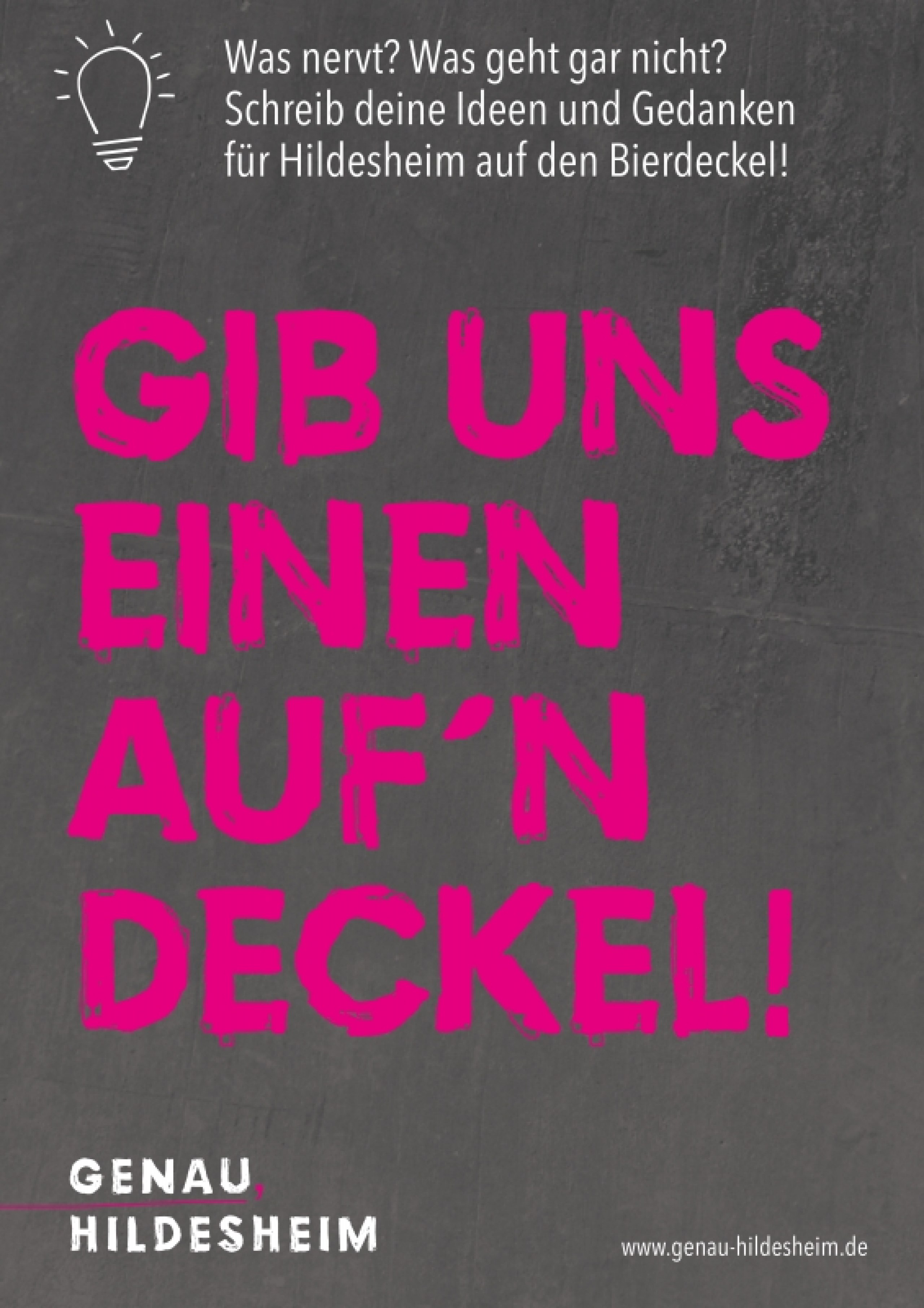 Hildesheim und die Generation Y: Idee und Gestaltung einer Kommunikationsstrategie