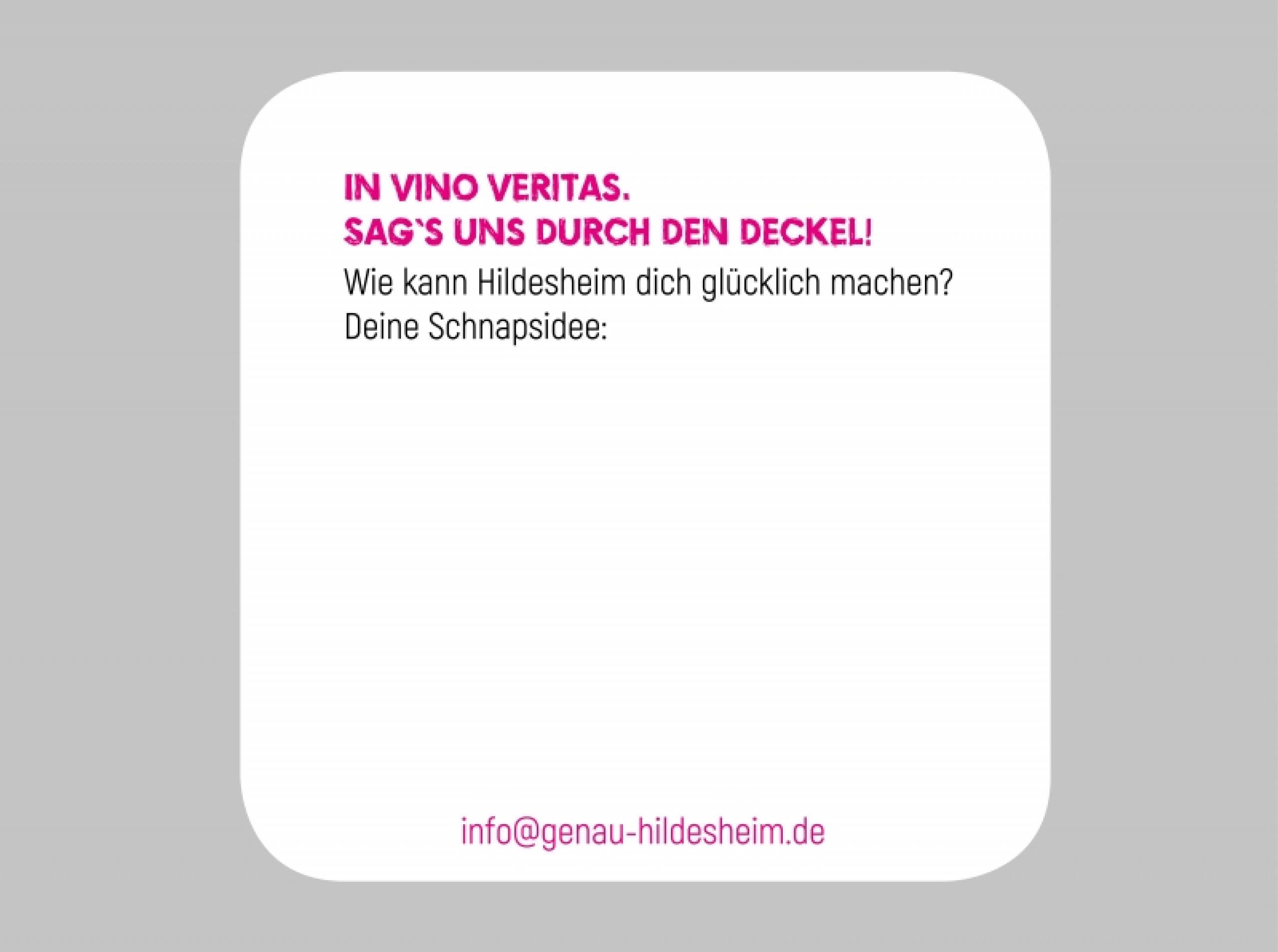 Hildesheim und die Generation Y: Idee und Gestaltung einer Kommunikationsstrategie