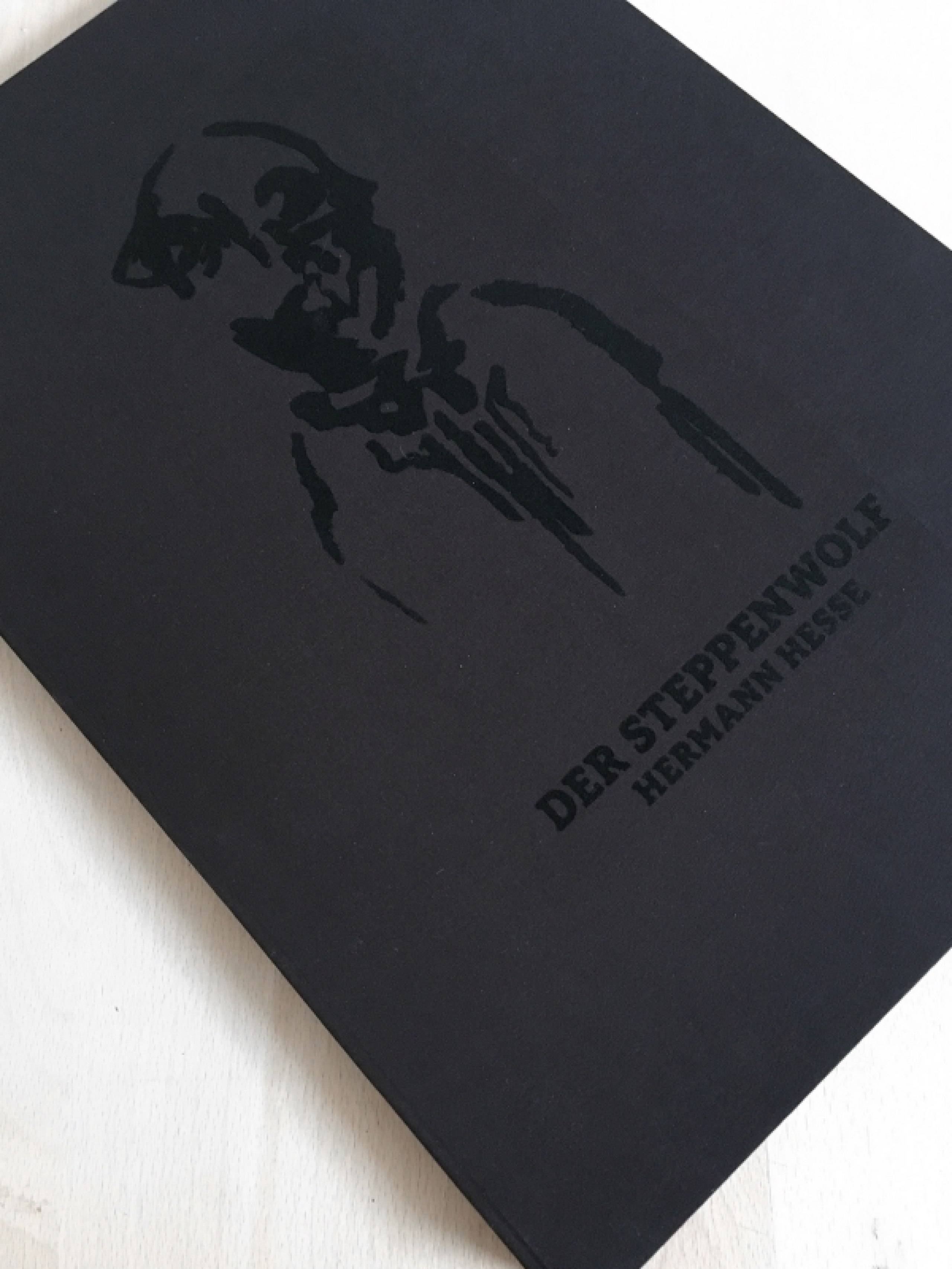 illustriert von Pia Chwalczyk