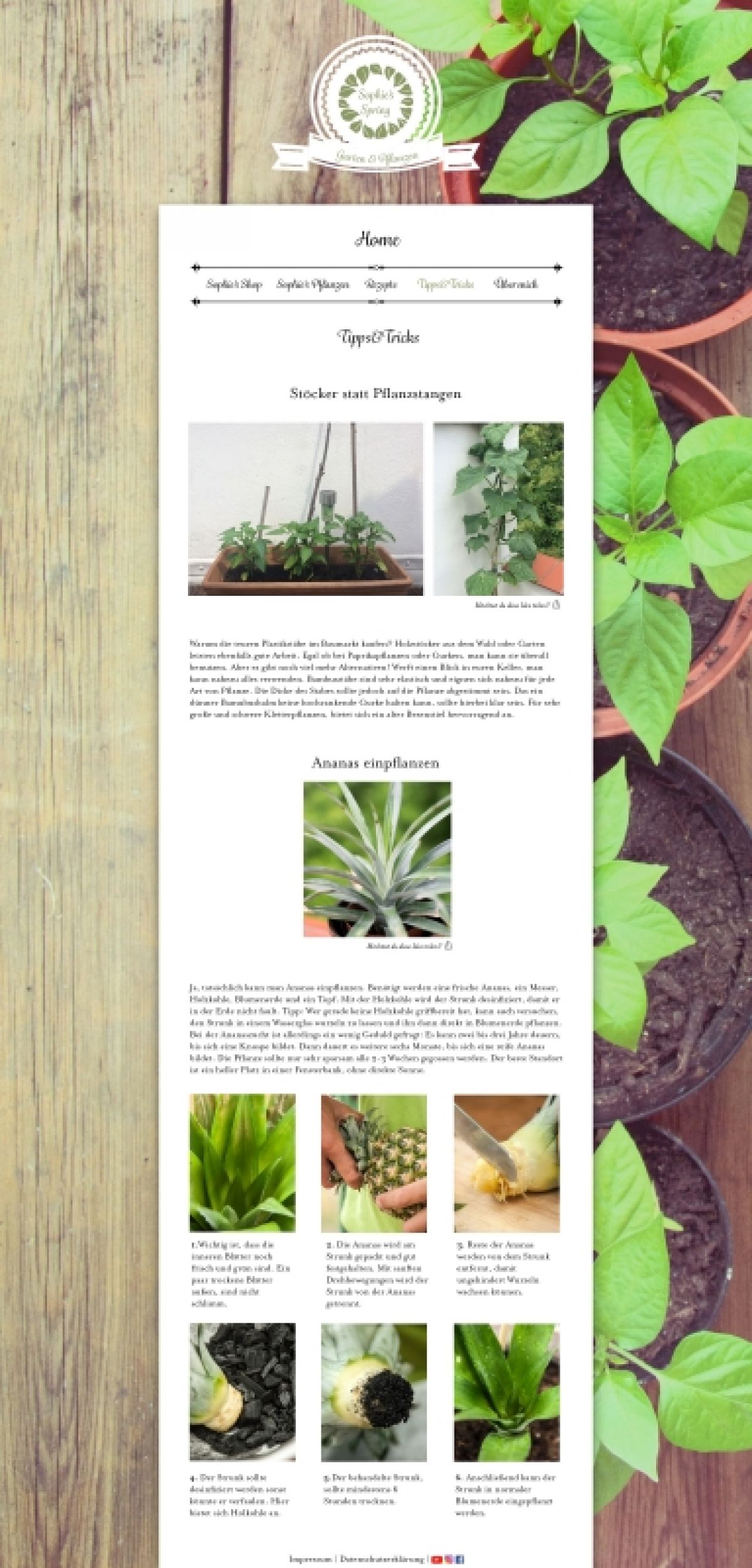 Gestaltung und Konzeption einer Community zum Thema Garten, Pflanzen und Ernährung