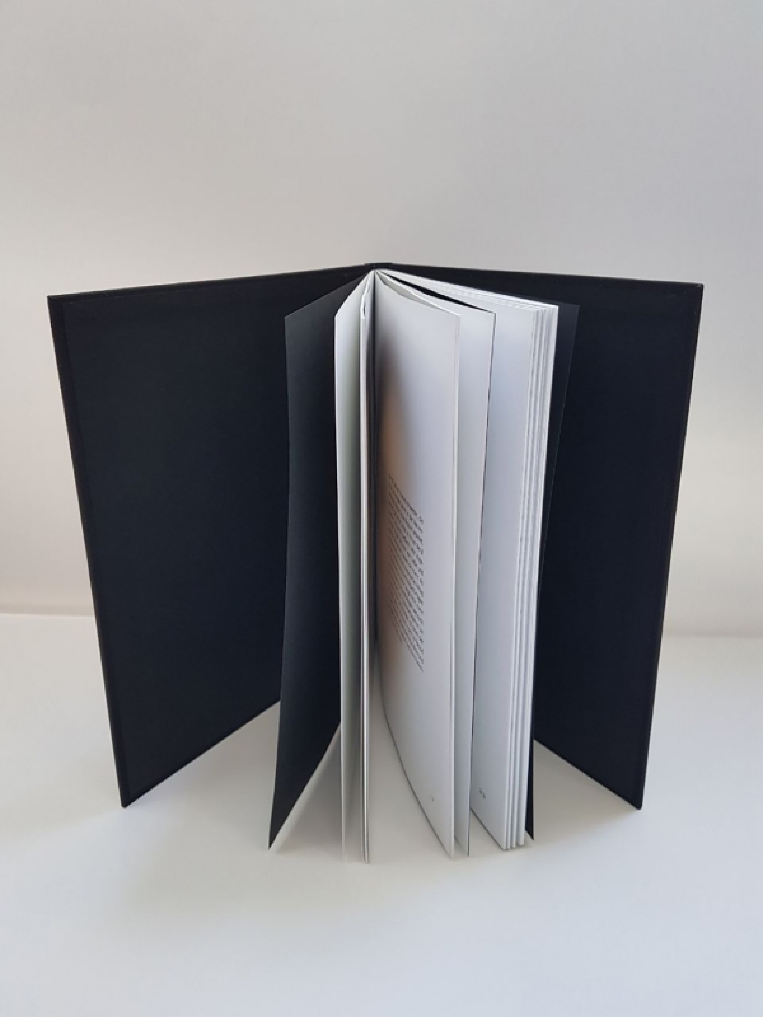 Artbook zu einem fiktiven Survival-Horror-Spiel