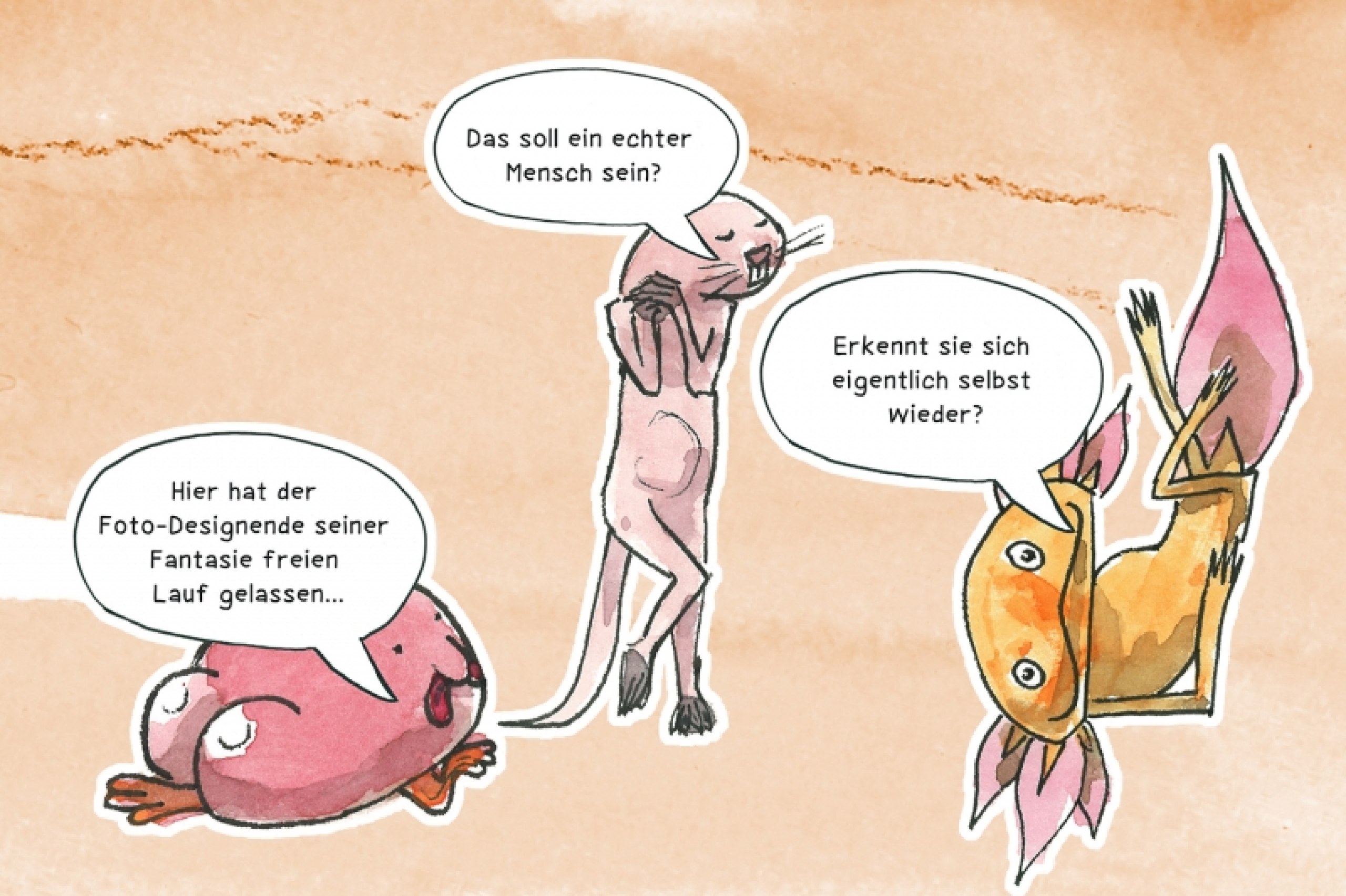Die Illusion der Schönheit
