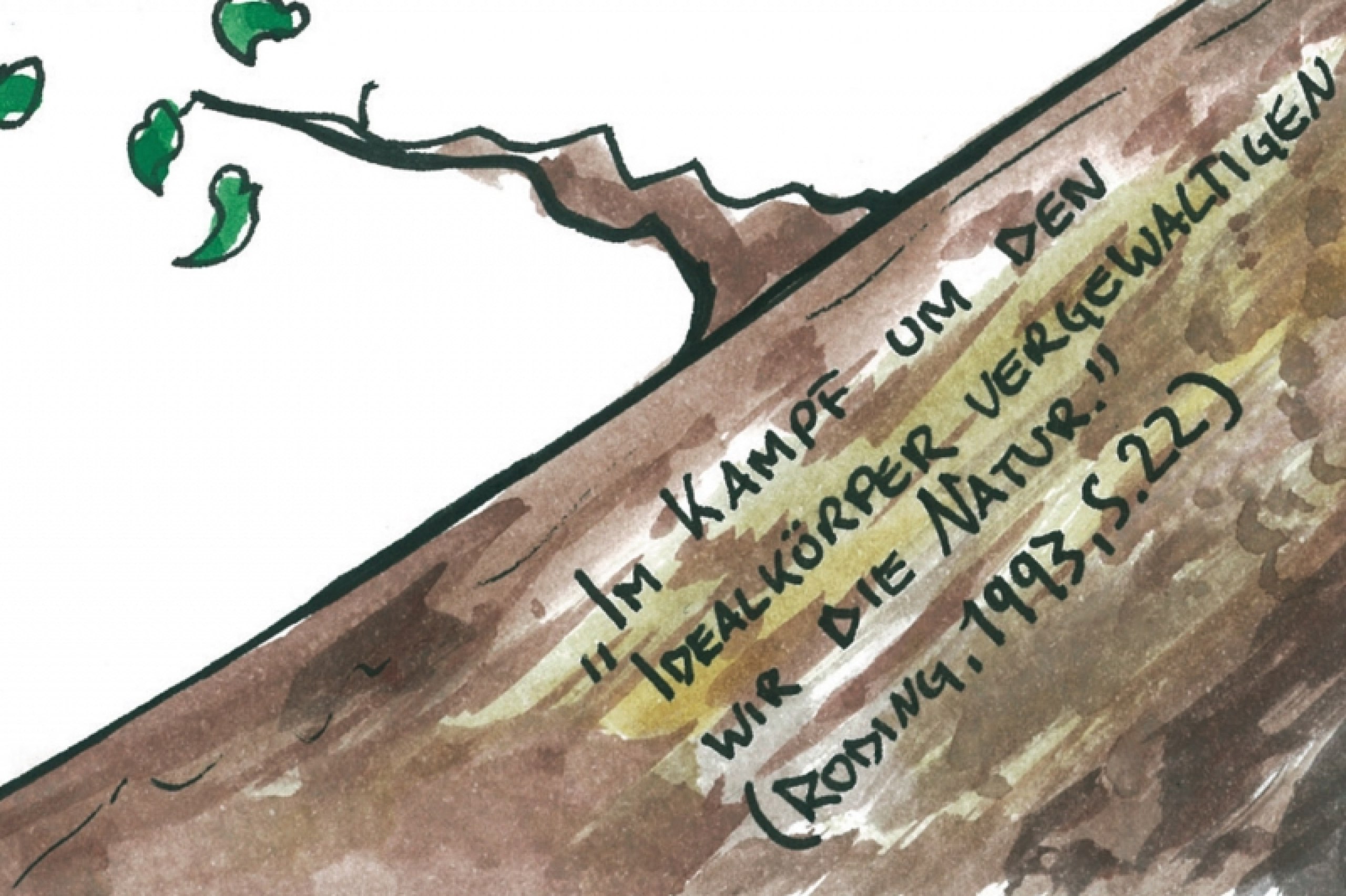 Die Illusion der Schönheit