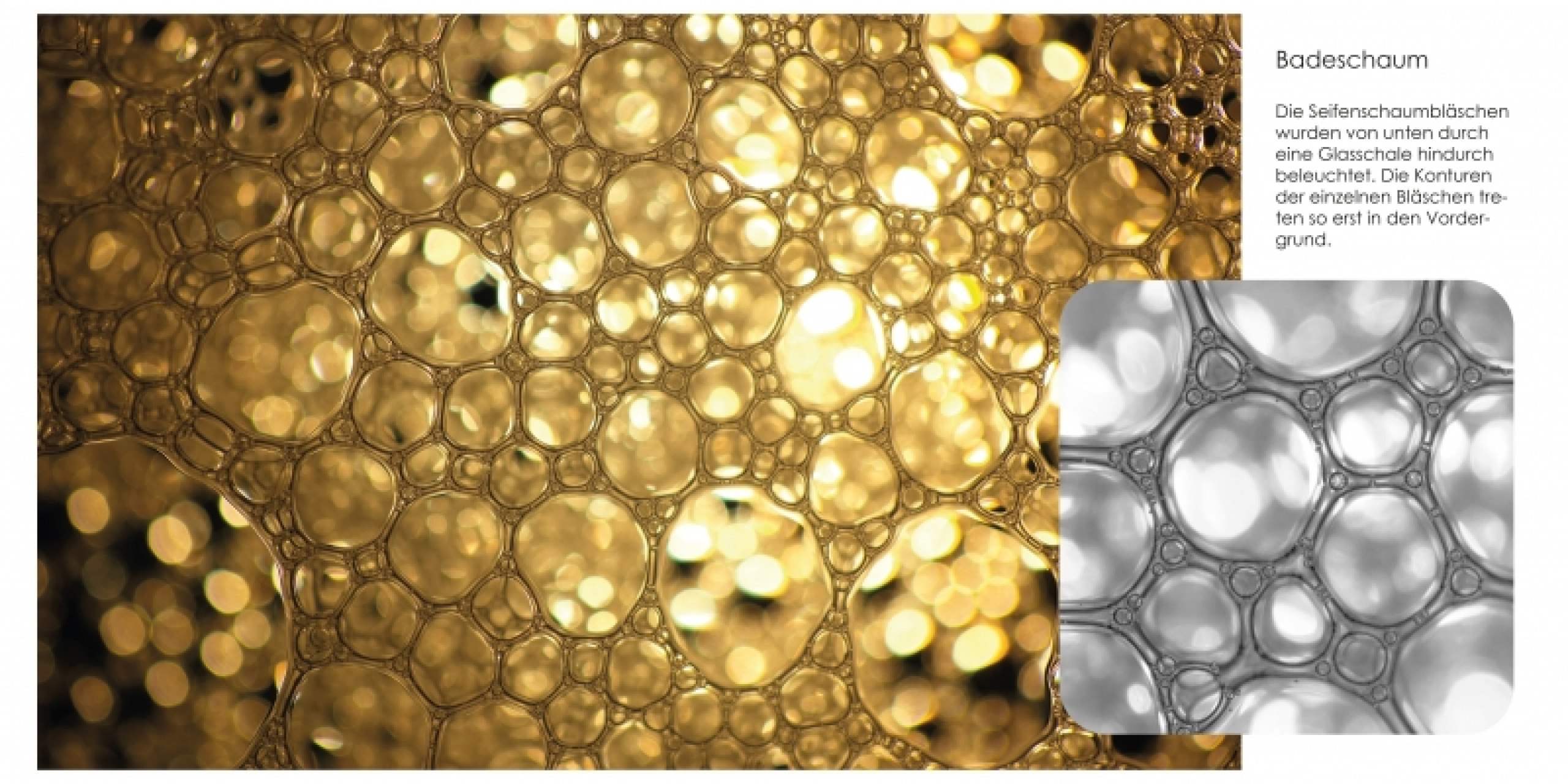 from image to surface
