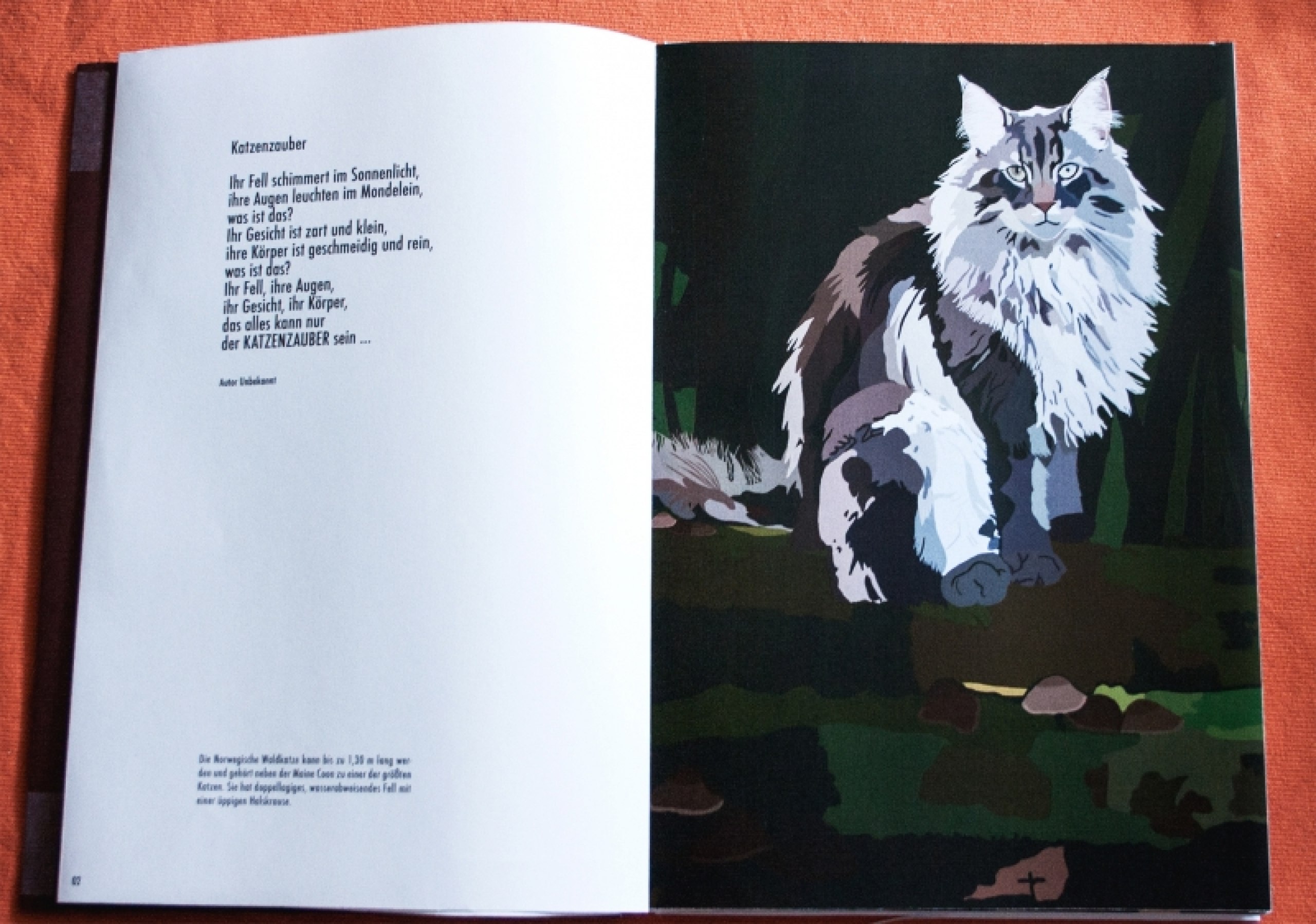 Ein illustriertes Buch über Katzen