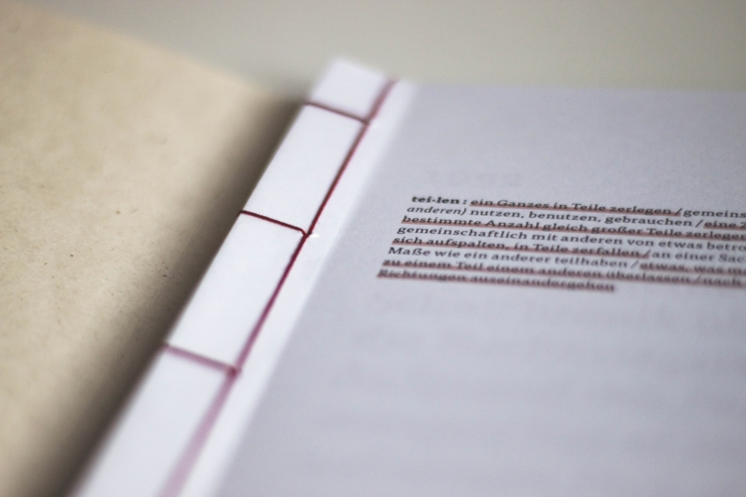 Konzeption und Gestaltung eines Printobjekts über ein gesellschaftliches Thema