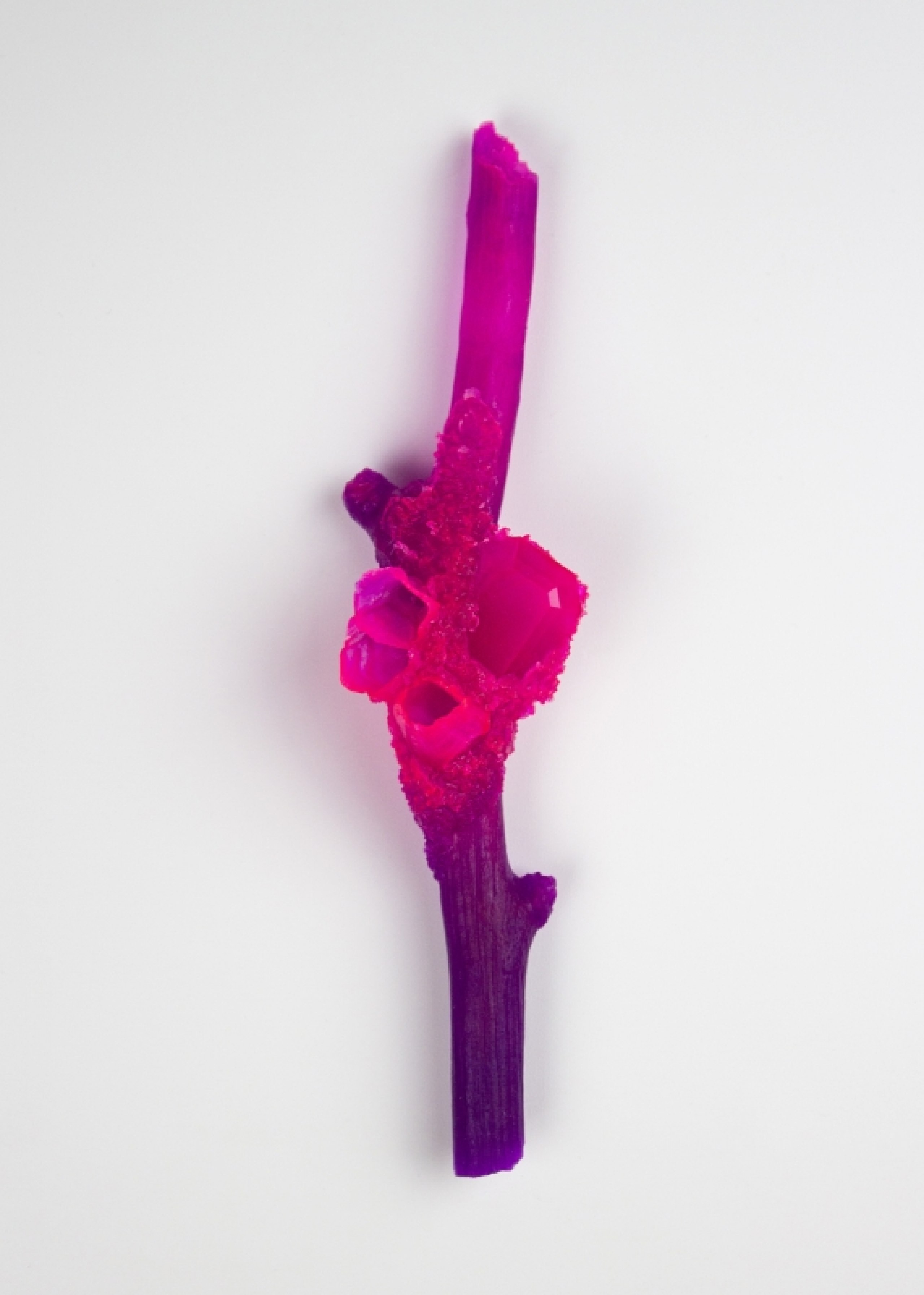 Schmuck im Spannungsfeld zwischen Kunst und Design