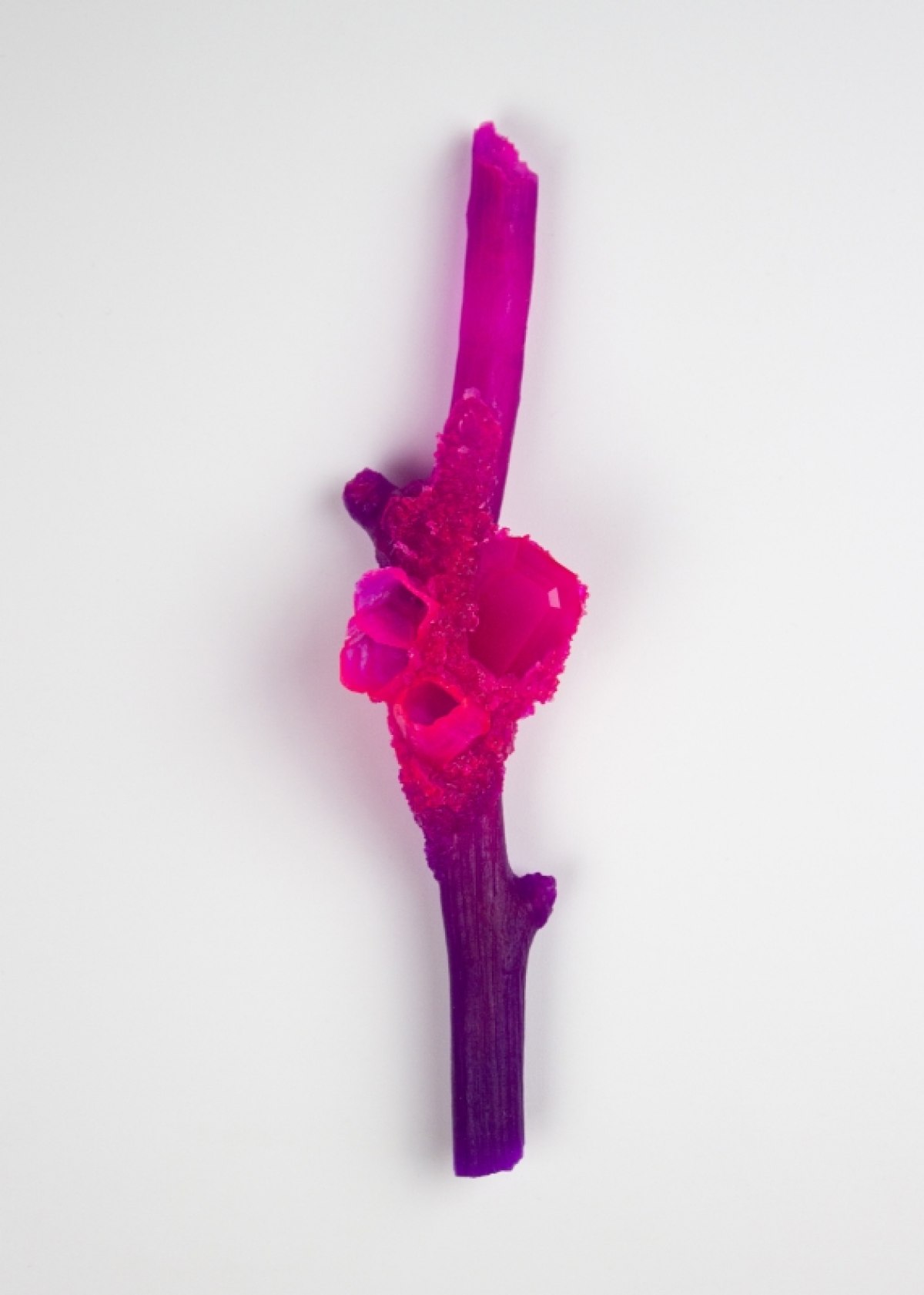 Schmuck im Spannungsfeld zwischen Kunst und Design
