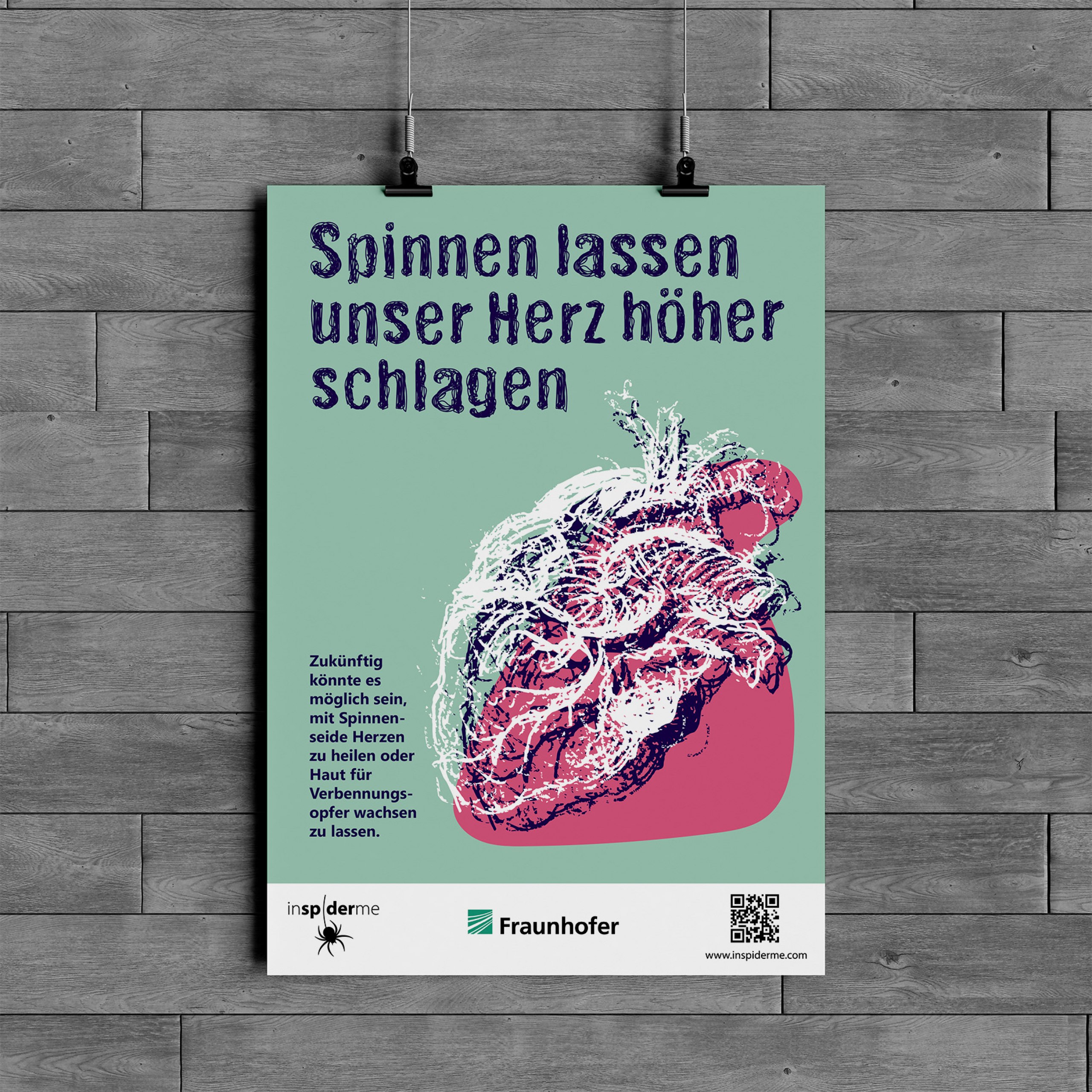 Kampagne für ein größeres Interesse an Spinnen und ihrer zukunftswirksamen Seide