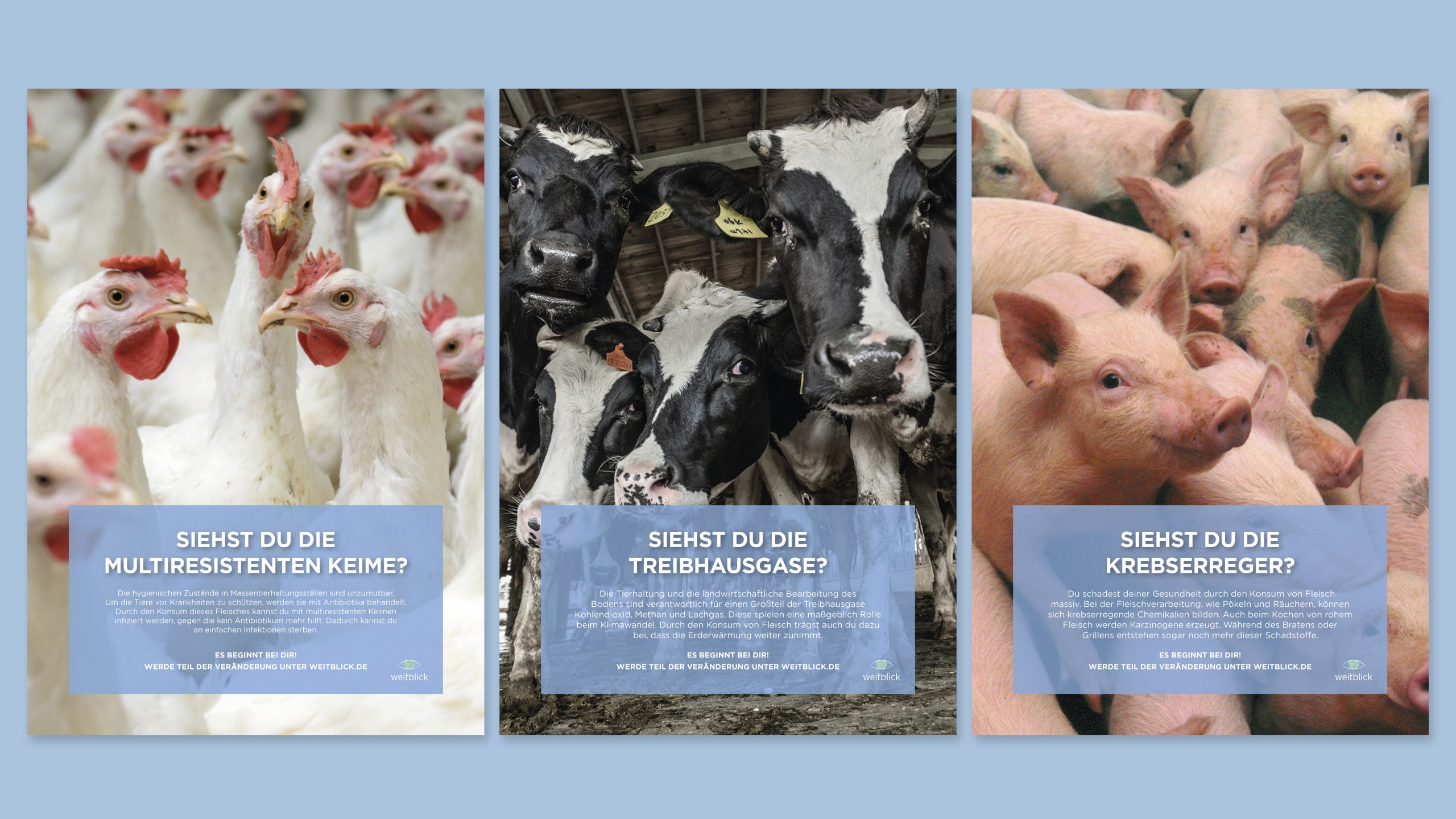Eine Kampagne für mehr Bewusstsein beim Konsum von Tiererzeugnissen
