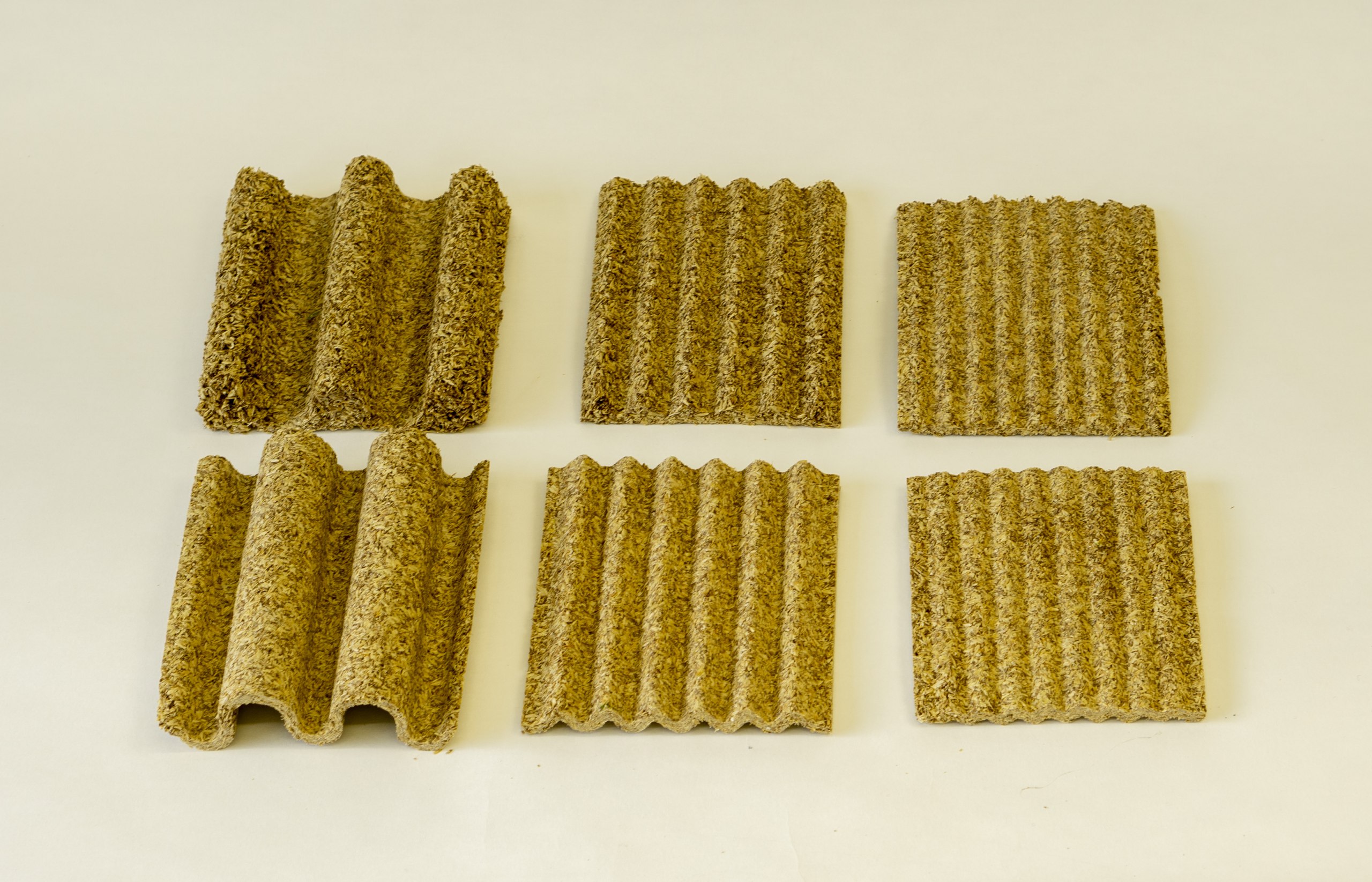 Bierproduktionsabfälle als nachhaltiger Rohstoff im Produktdesign 