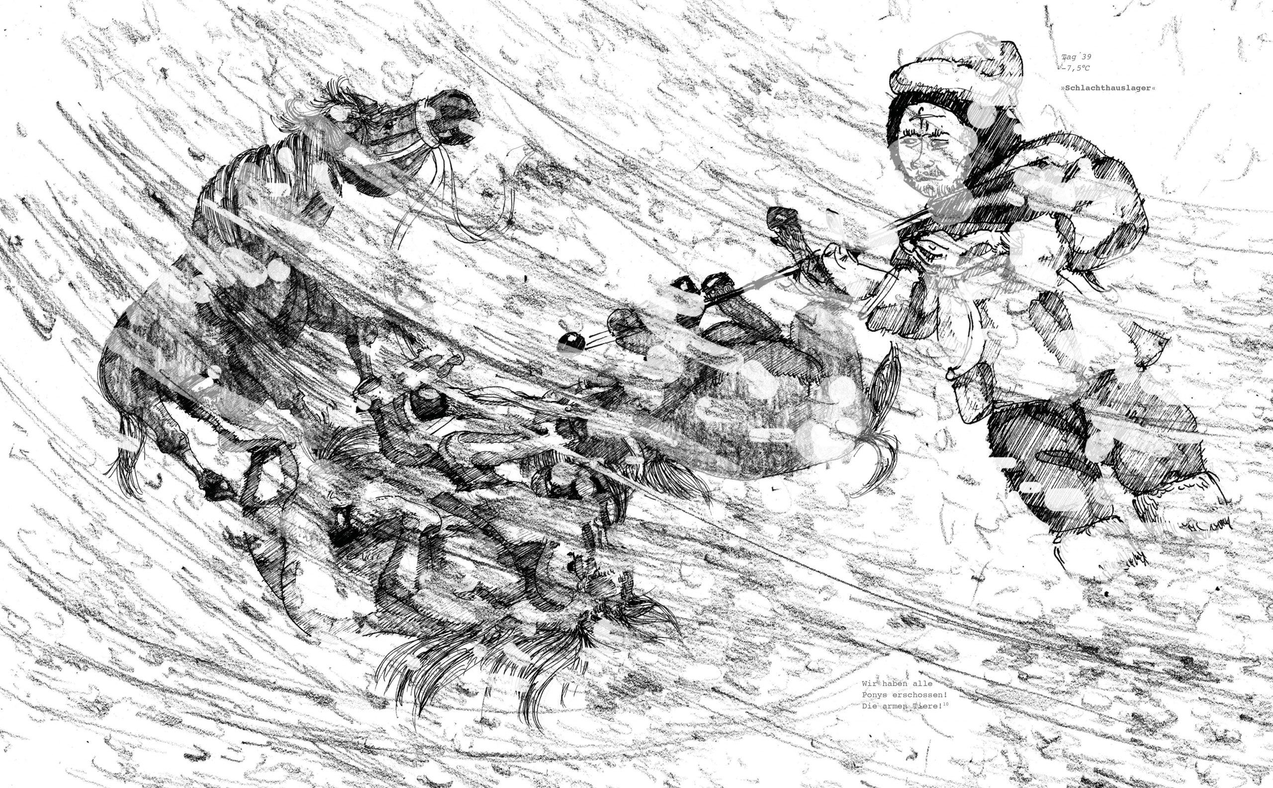 Gestaltung eines Buches mit Illustrationen zum Thema der Südpolexpedition des Briten Robert Falcon Scott