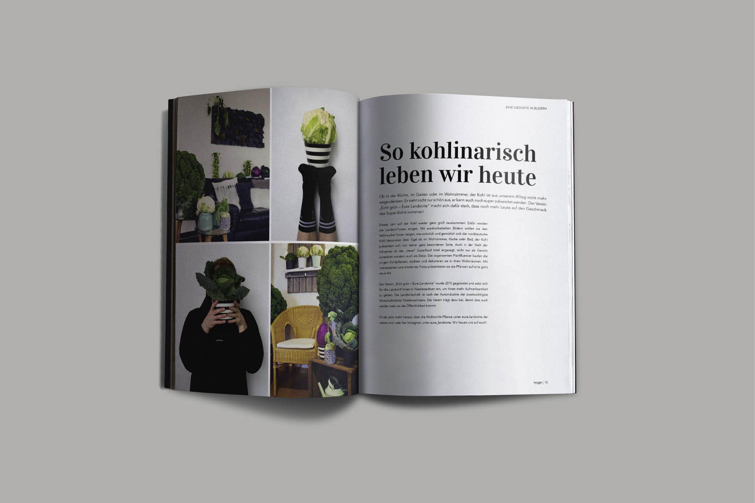 Gestaltung einer humorvollen Kampagne zur Förderung regionaler Erzeugnisse