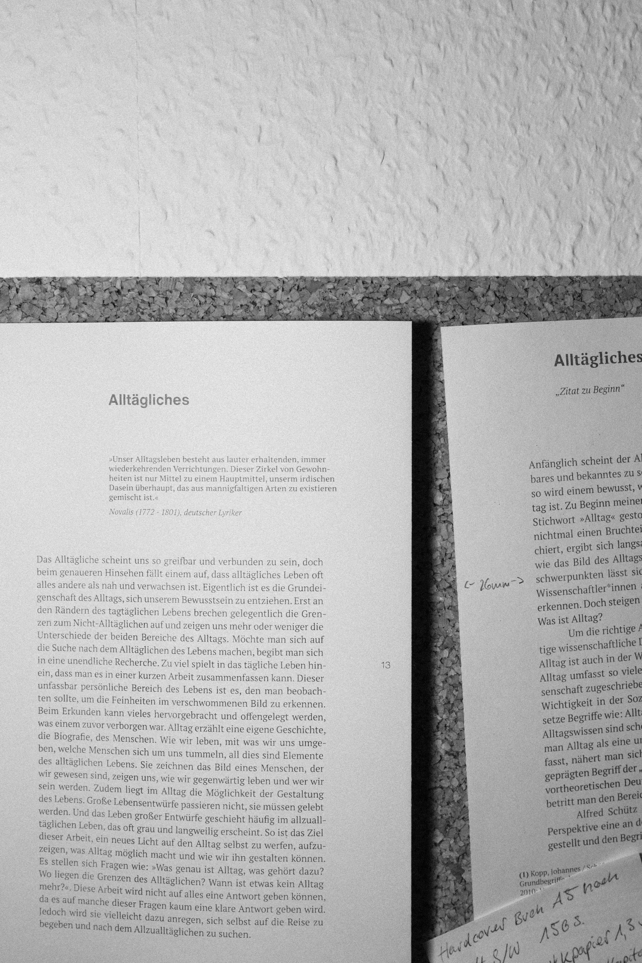 Ein Buch über die Eigenheiten des Alltags