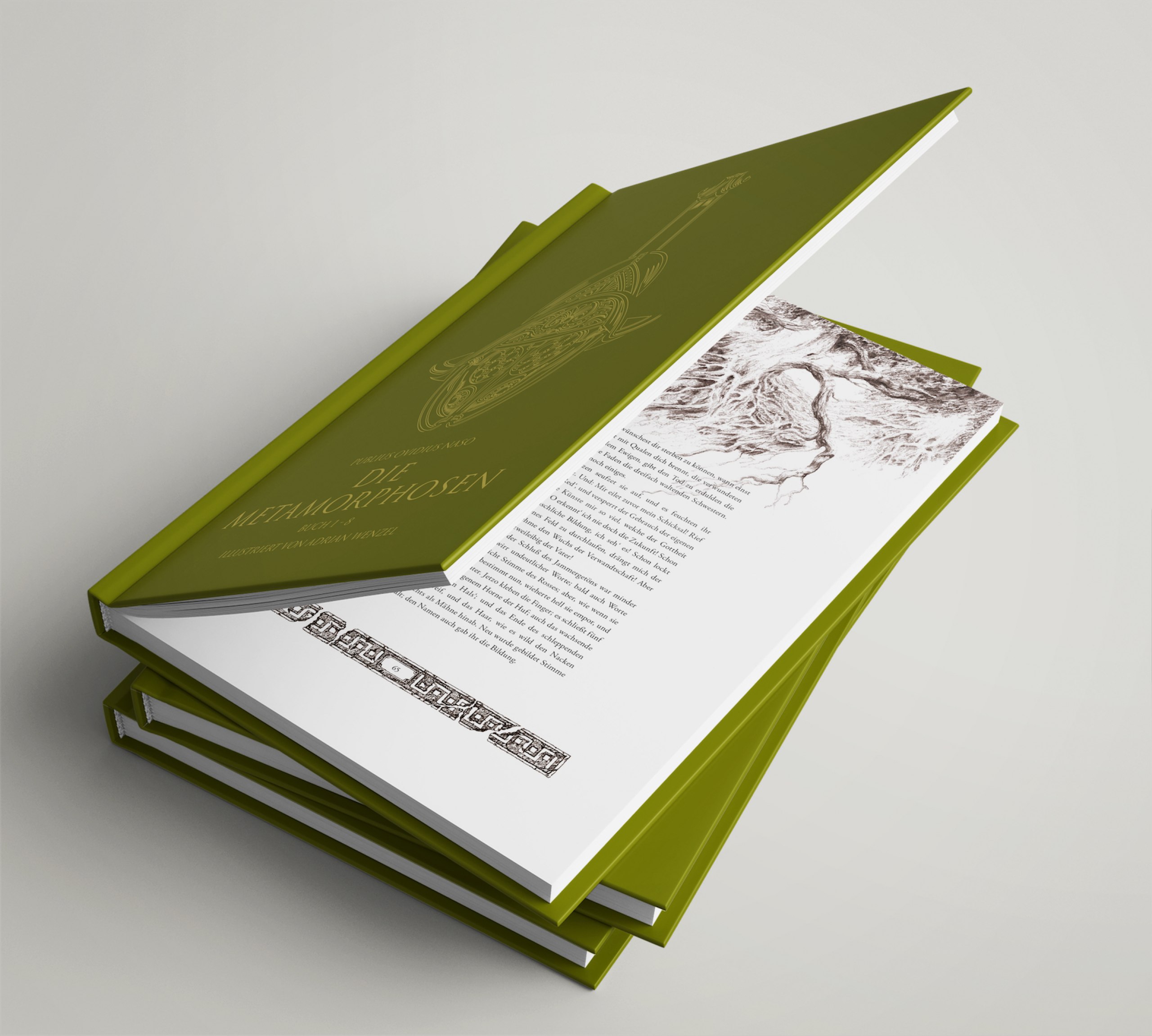 Illustrative und typografische Ausarbeitung in Form eines Buches